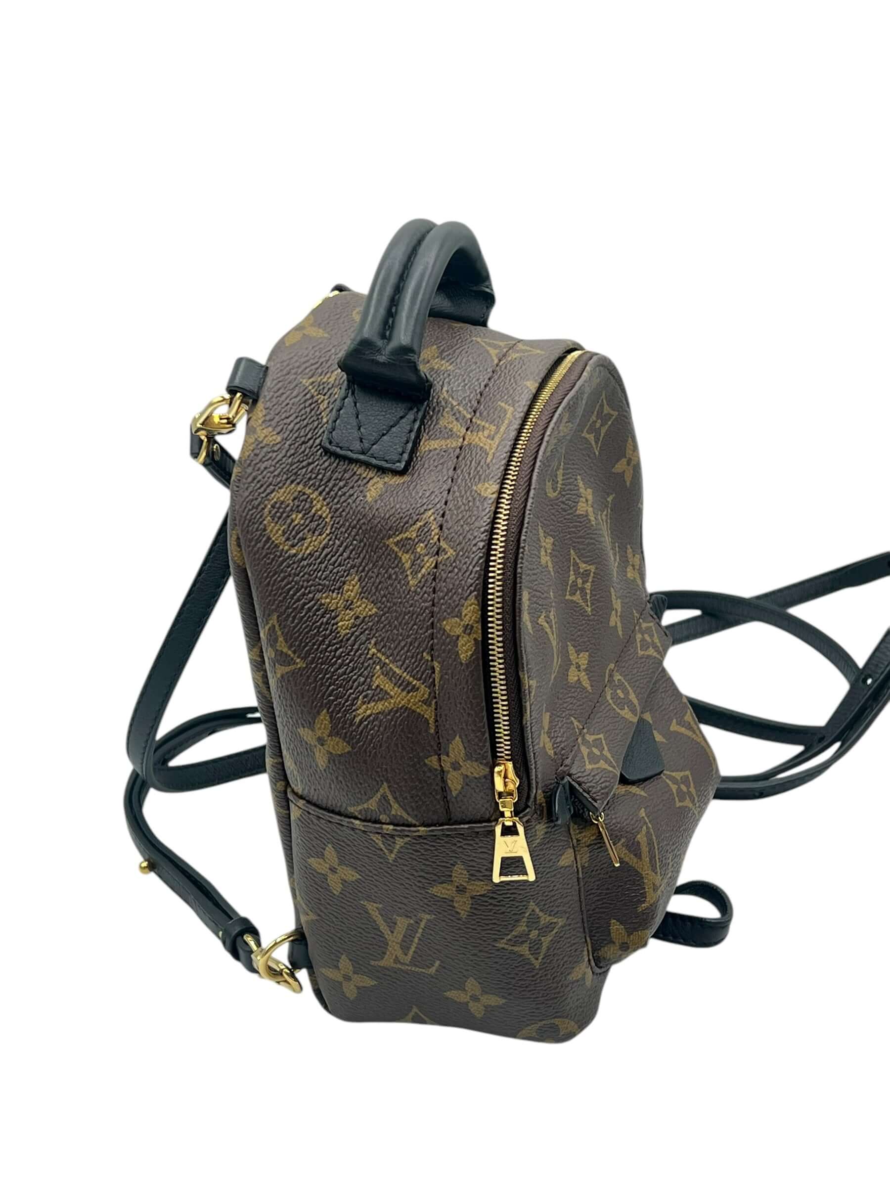 Louis Vuitton - sac Palm spring mini