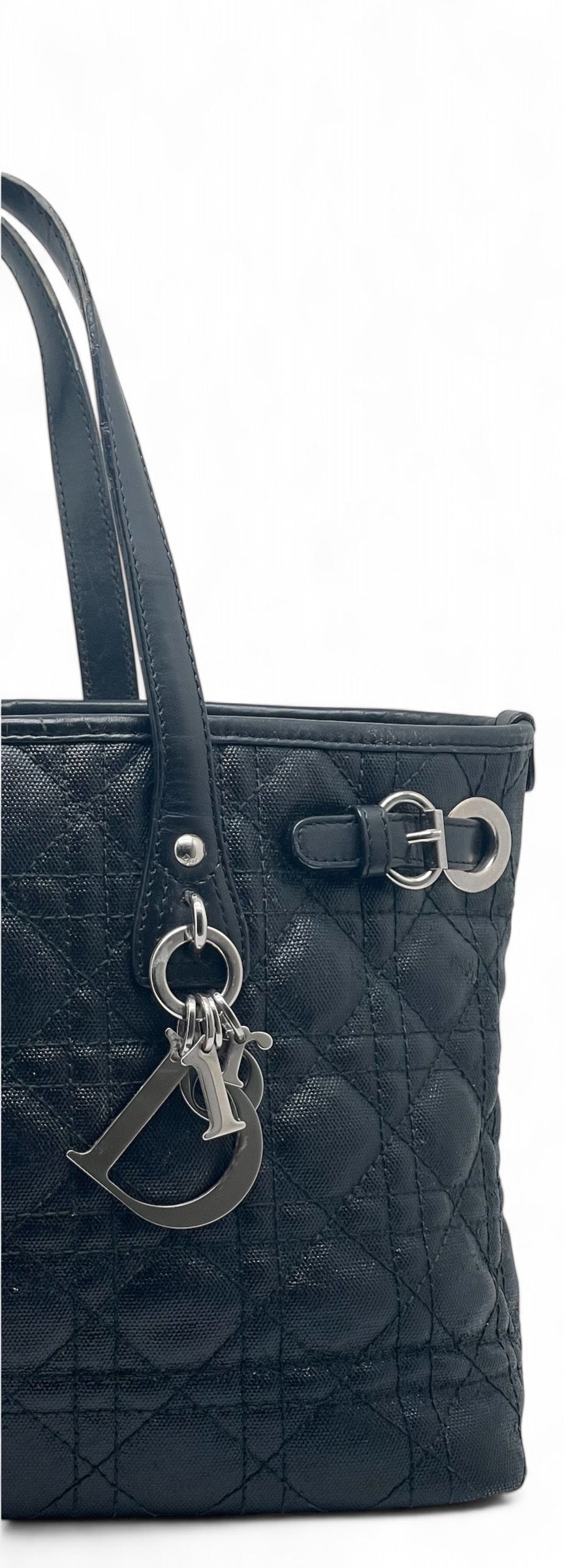 Dior - Tasche aus Segeltuch und Leder Paranea