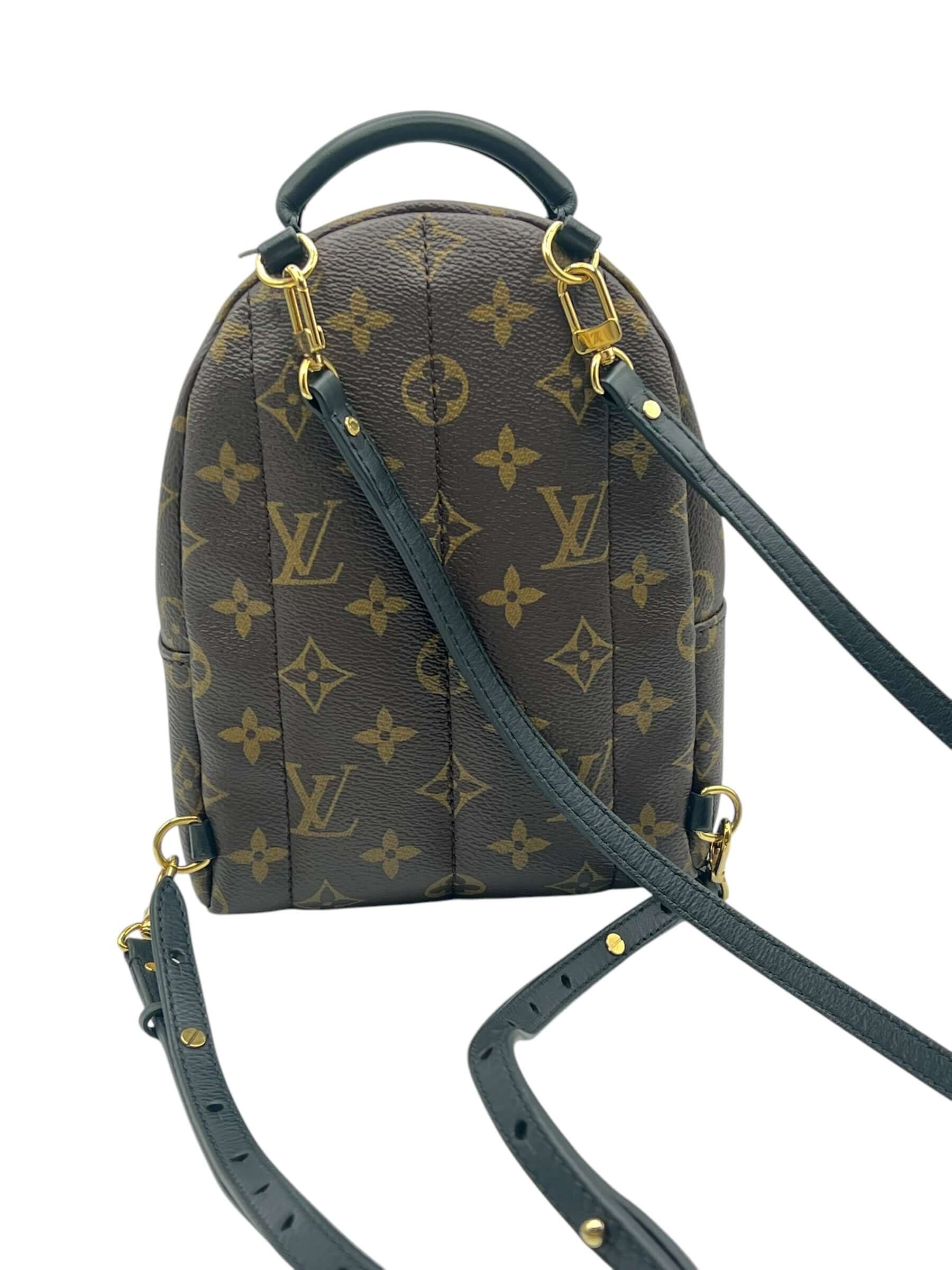 Louis Vuitton - sac Palm spring mini