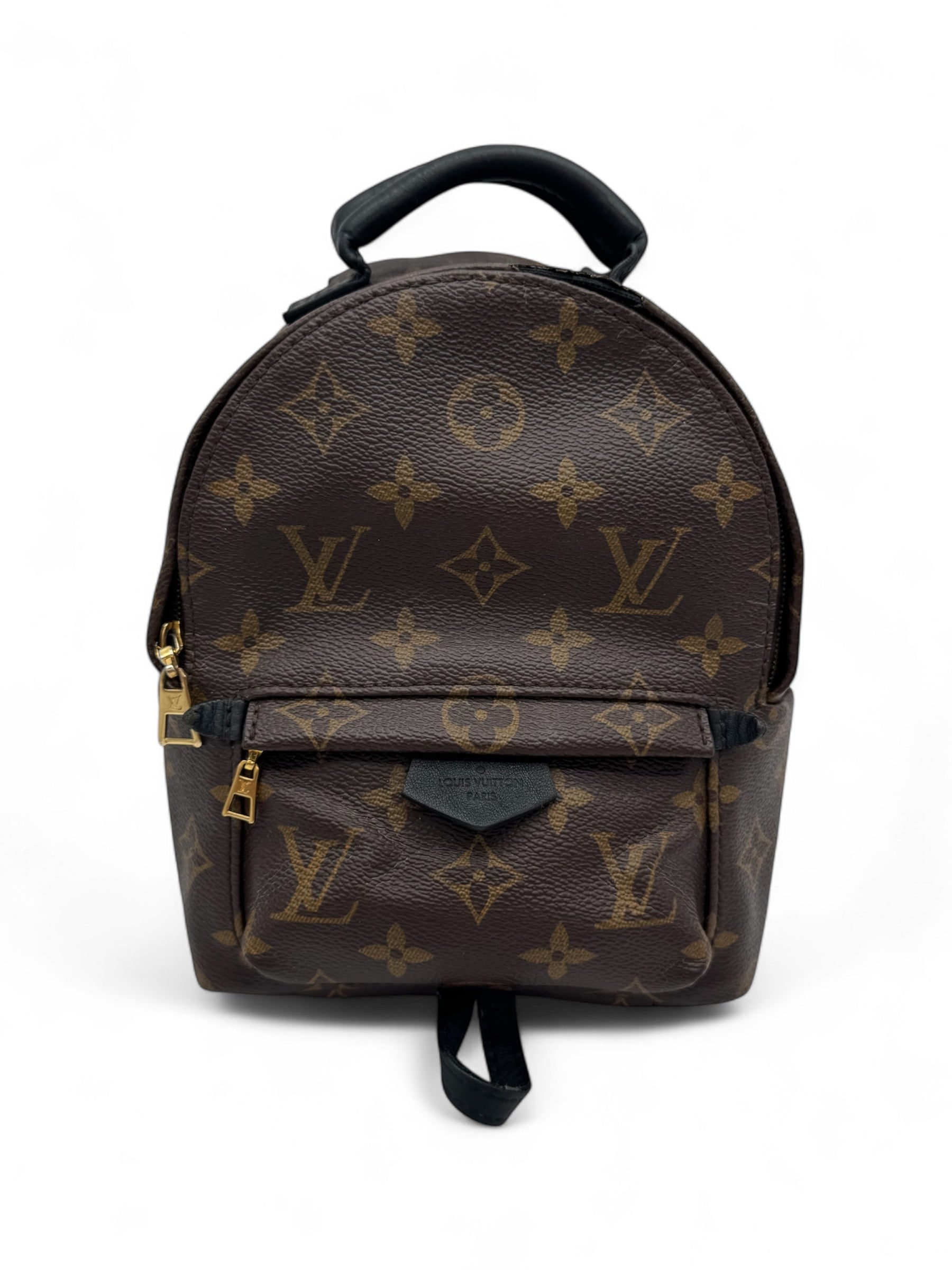 Louis Vuitton - Mini sac à dos Palm Spring