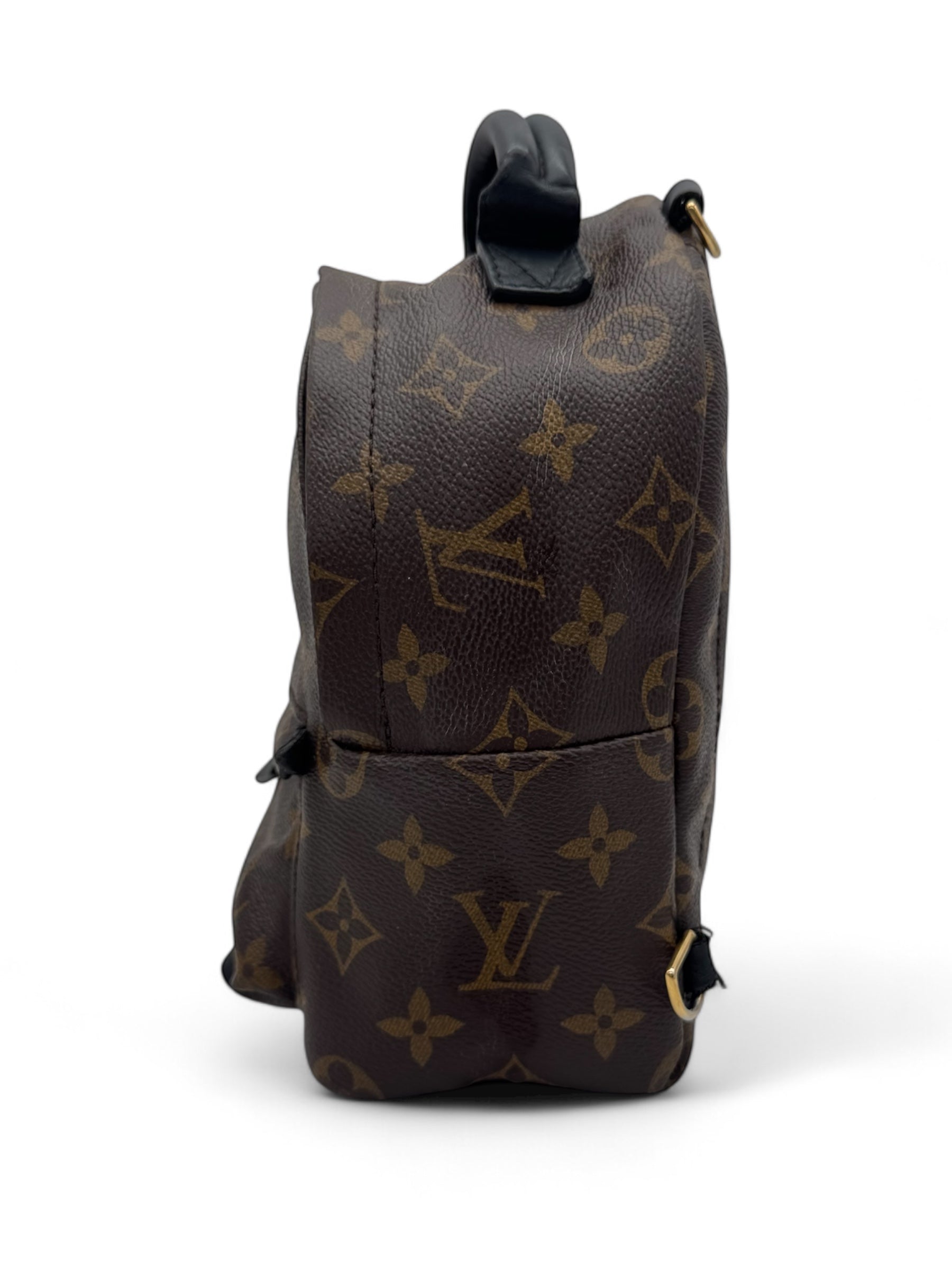 Louis Vuitton - Mini sac à dos Palm Spring