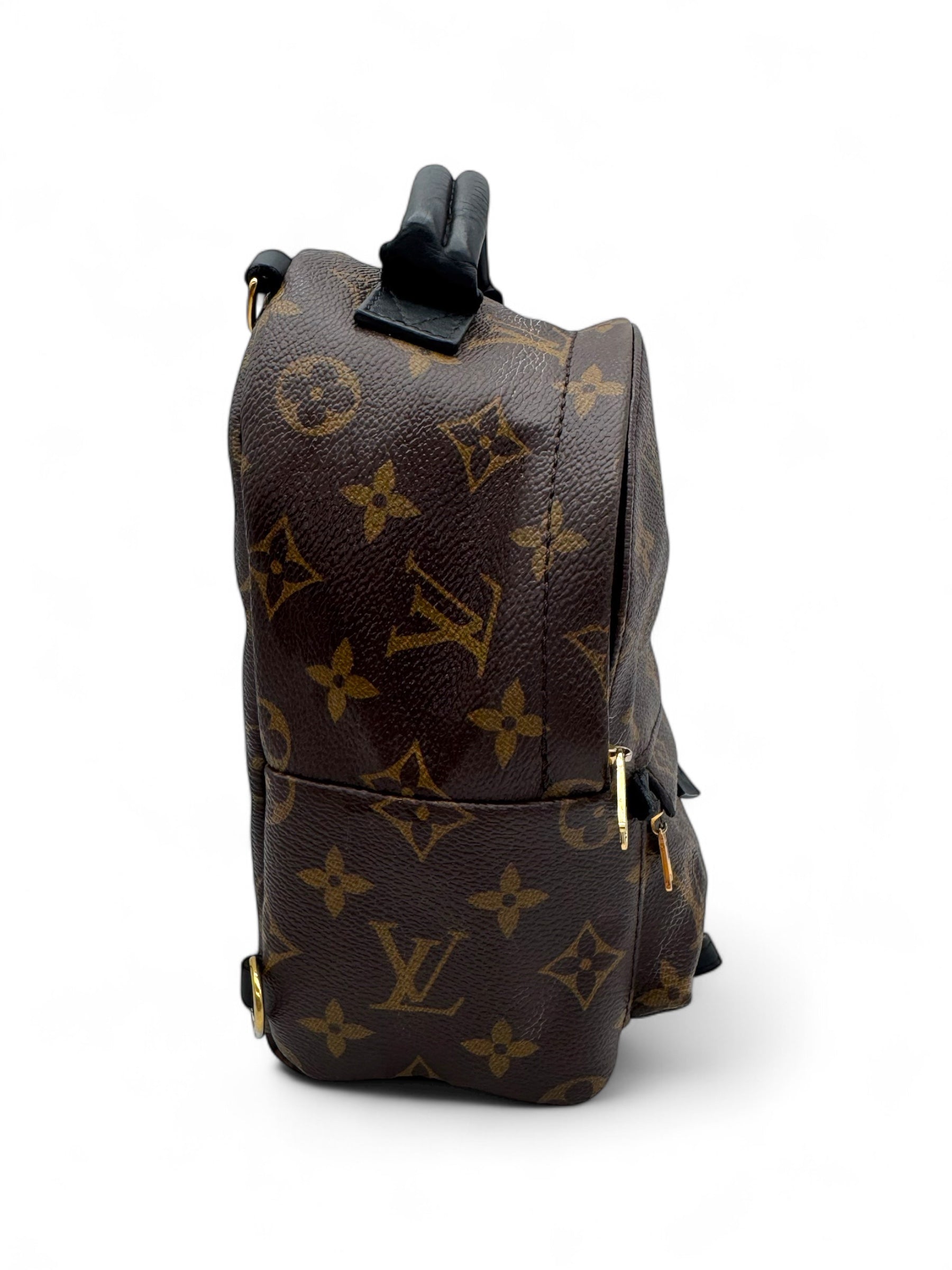 Louis Vuitton - Mini sac à dos Palm Spring