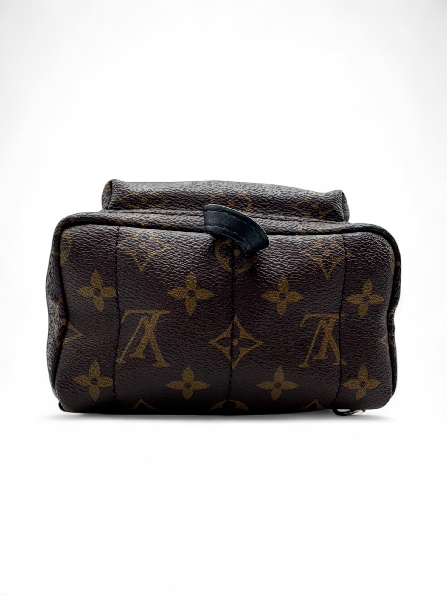 Louis Vuitton - Mini sac à dos Palm Spring