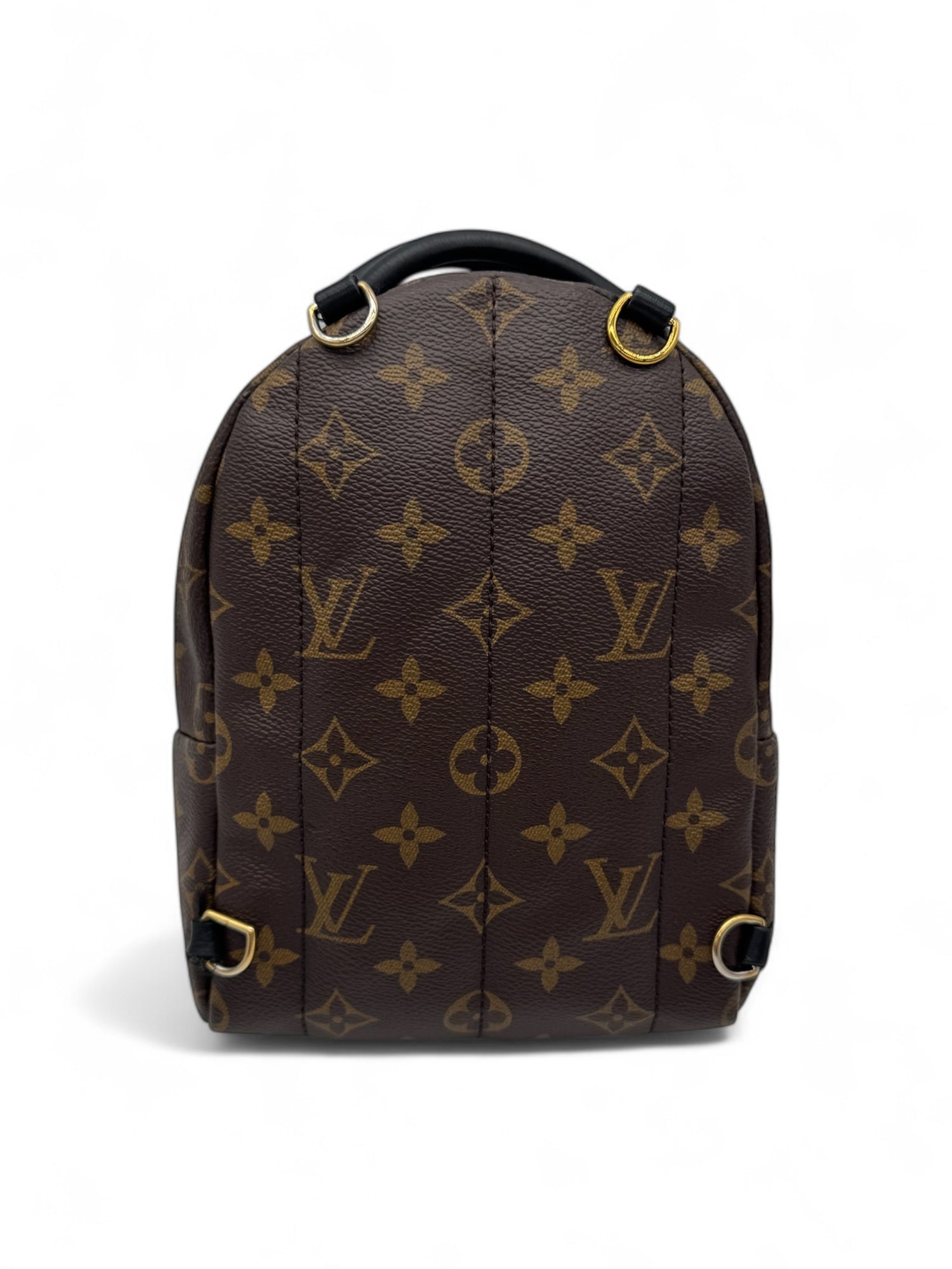 Louis Vuitton - Mini sac à dos Palm Spring