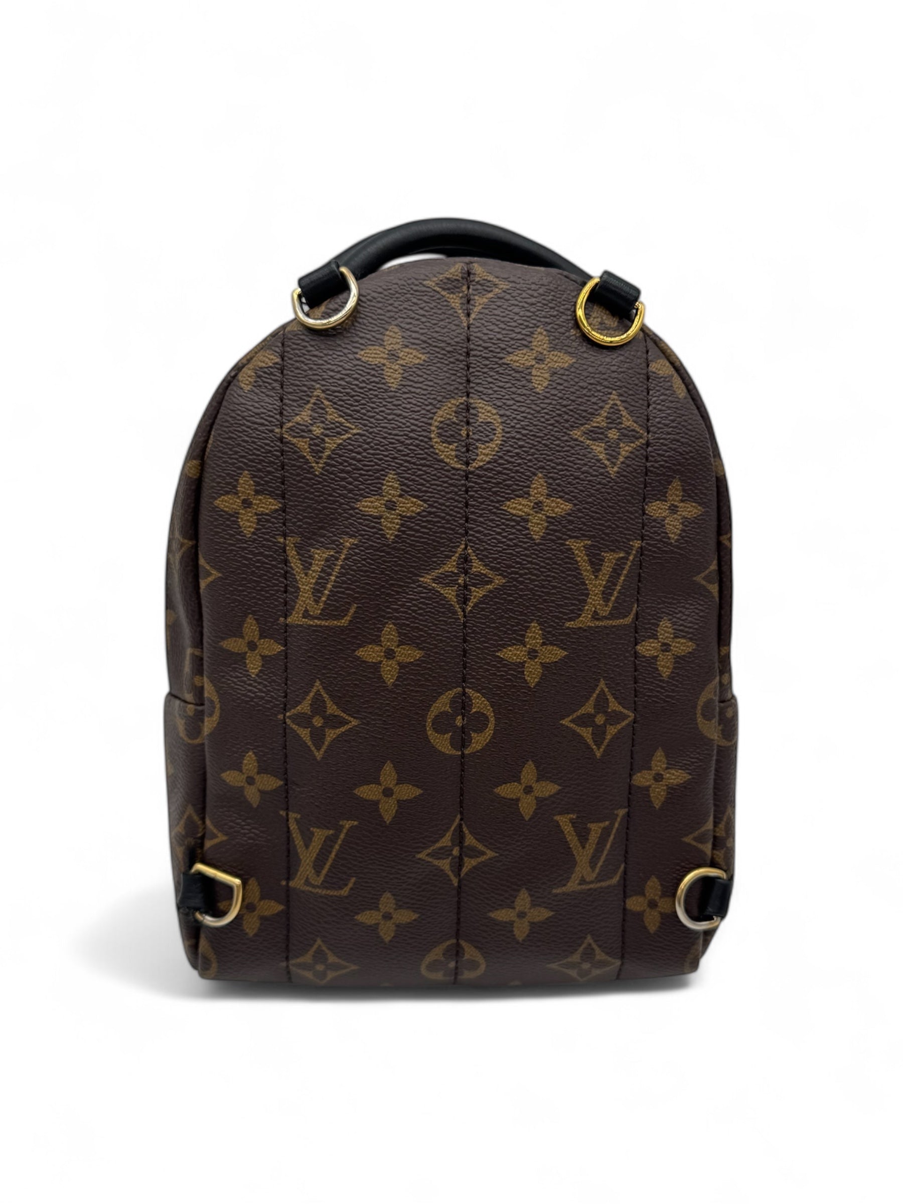 Louis Vuitton - Mini sac à dos Palm Spring