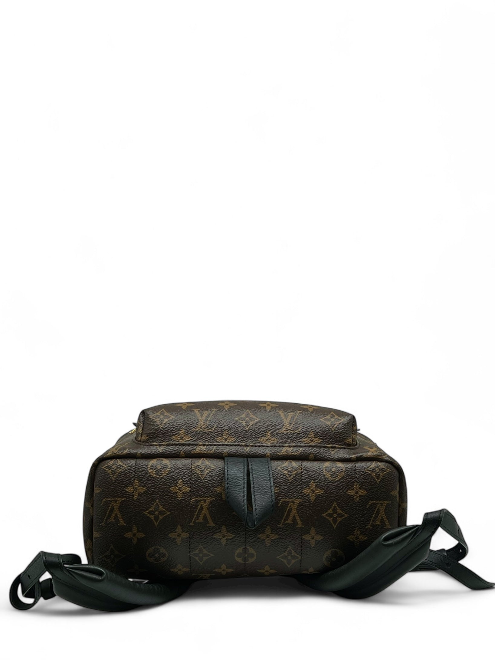 Louis Vuitton - Sac à dos en cuir vegan palm springs