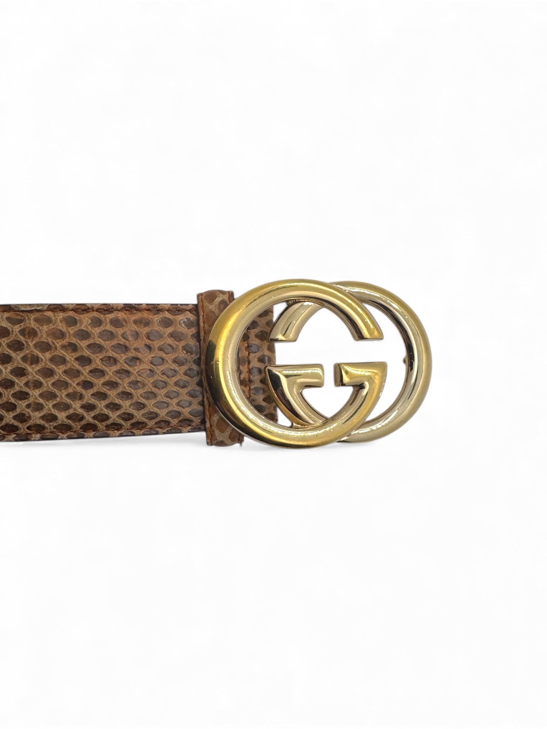 Gucci - Gürtel GG Python T85 braun