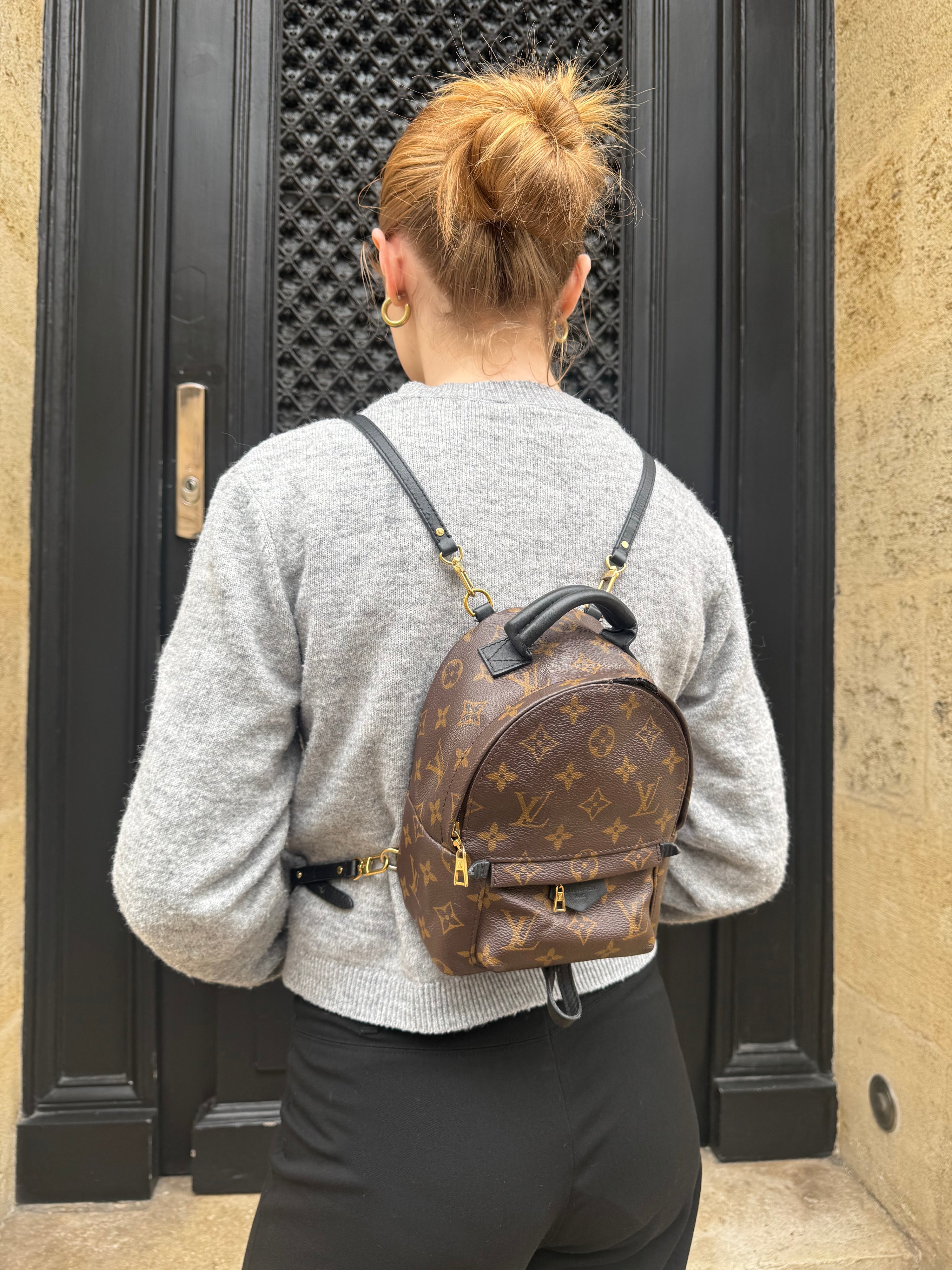 Louis Vuitton - Palm Spring mini backpack