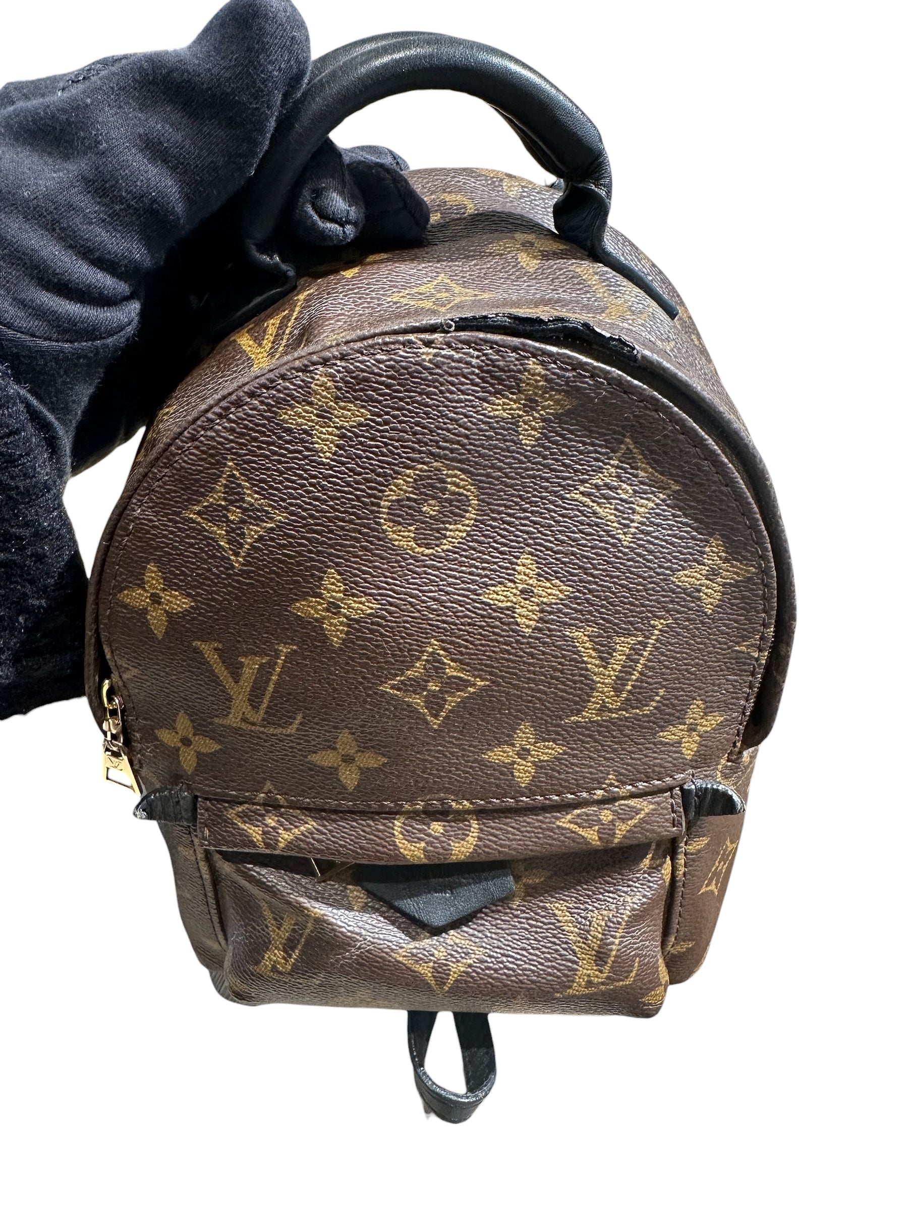 Louis Vuitton - Palm Spring mini backpack