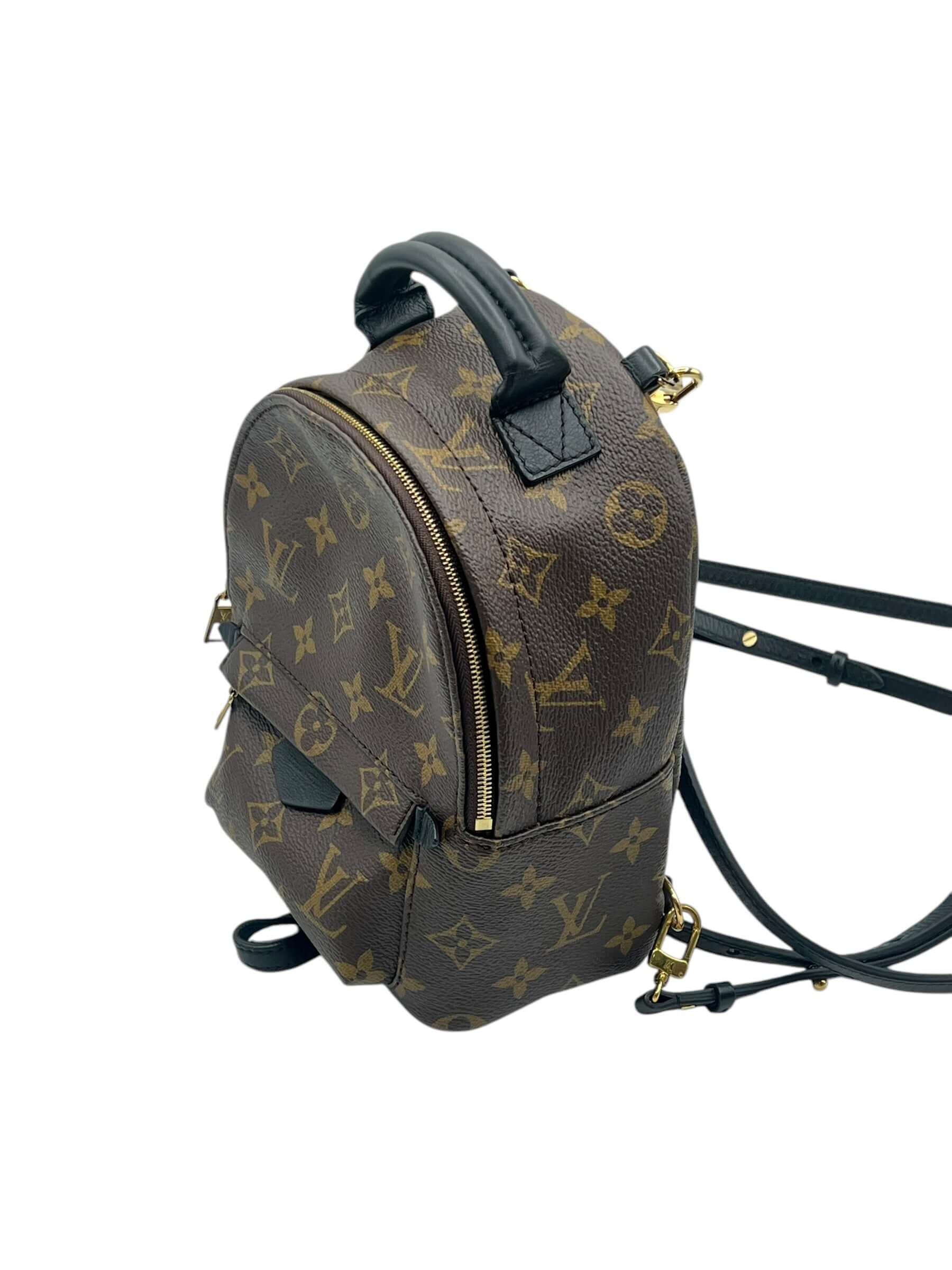 Louis Vuitton - sac Palm spring mini
