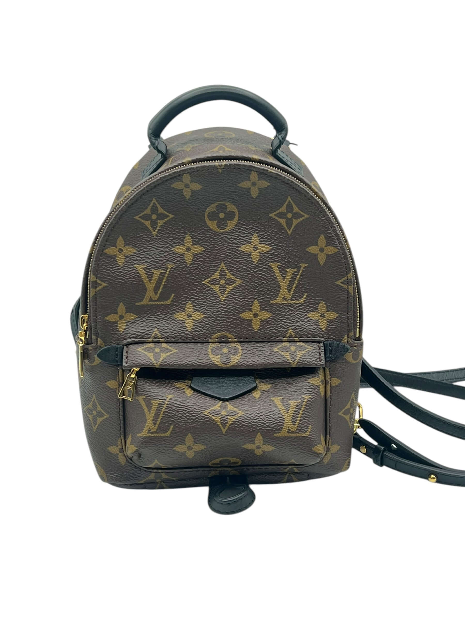 Louis Vuitton - sac Palm spring mini