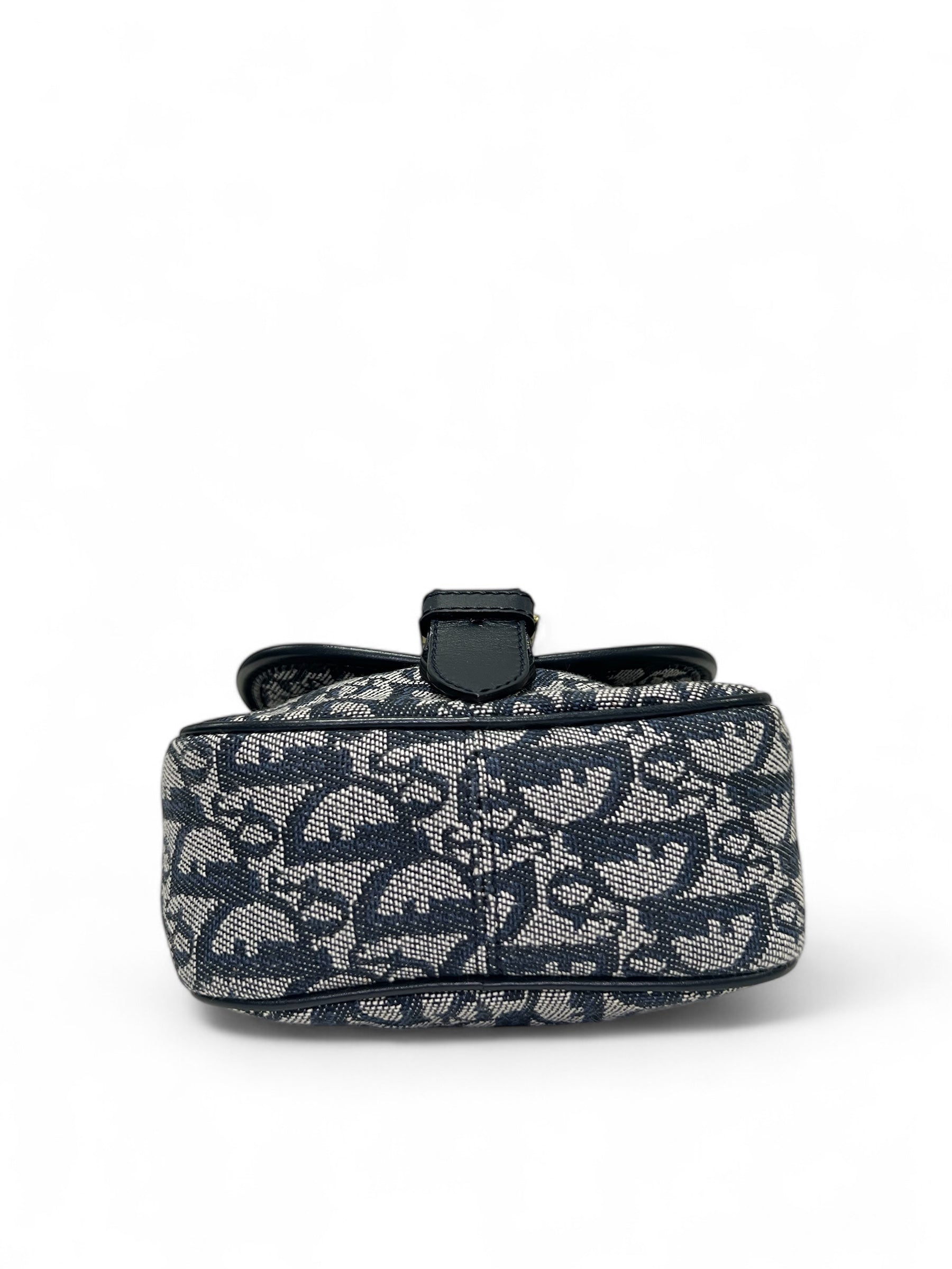Christian Dior - Trotter satchel