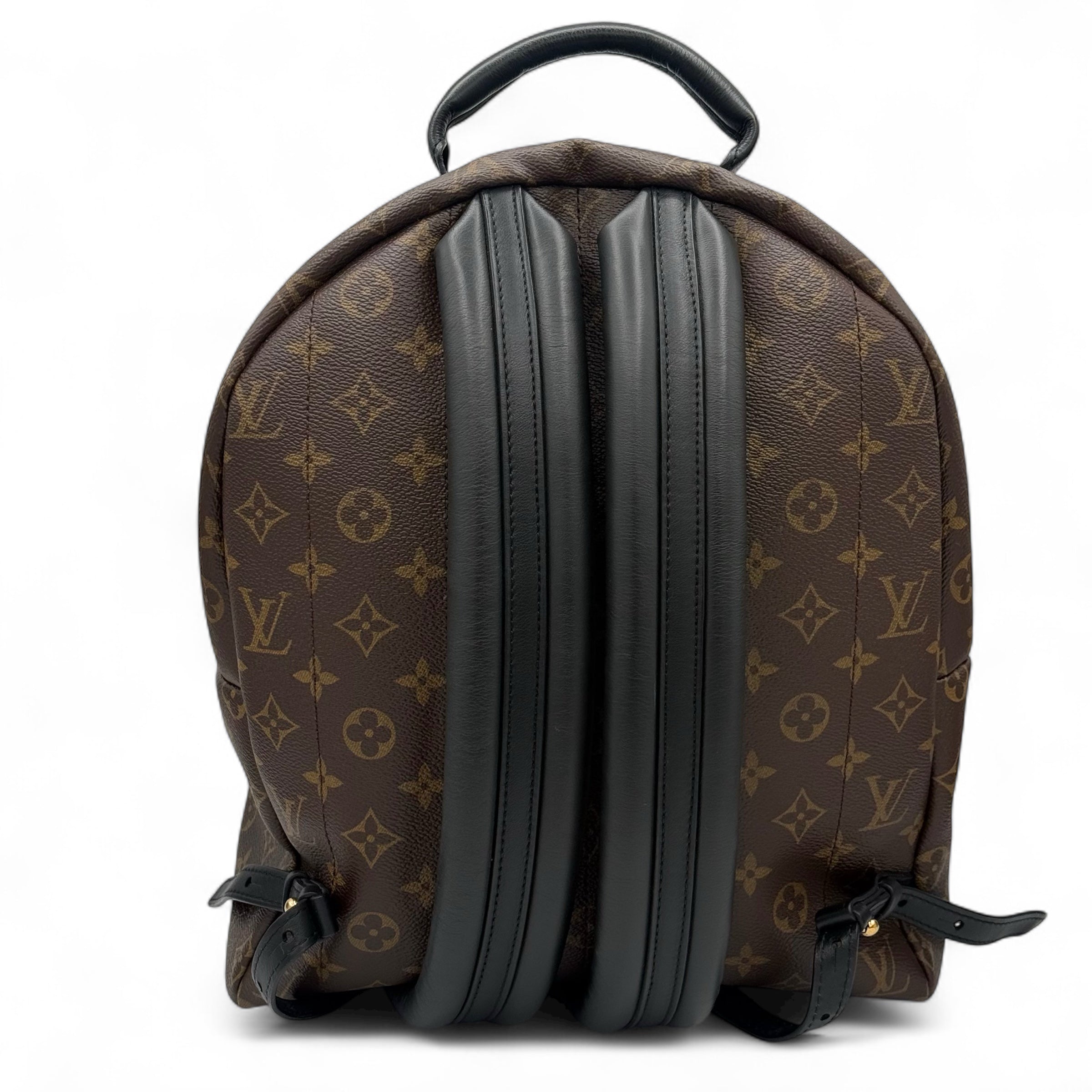 Louis Vuitton - Sac à dos Palm Spring