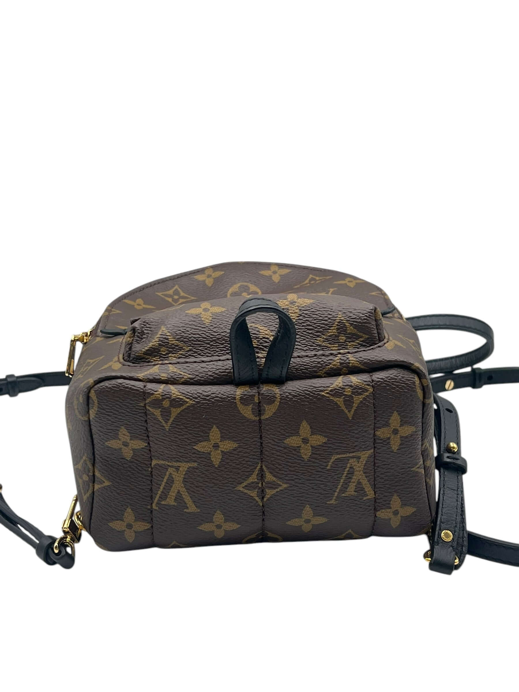 Louis Vuitton - sac Palm spring mini