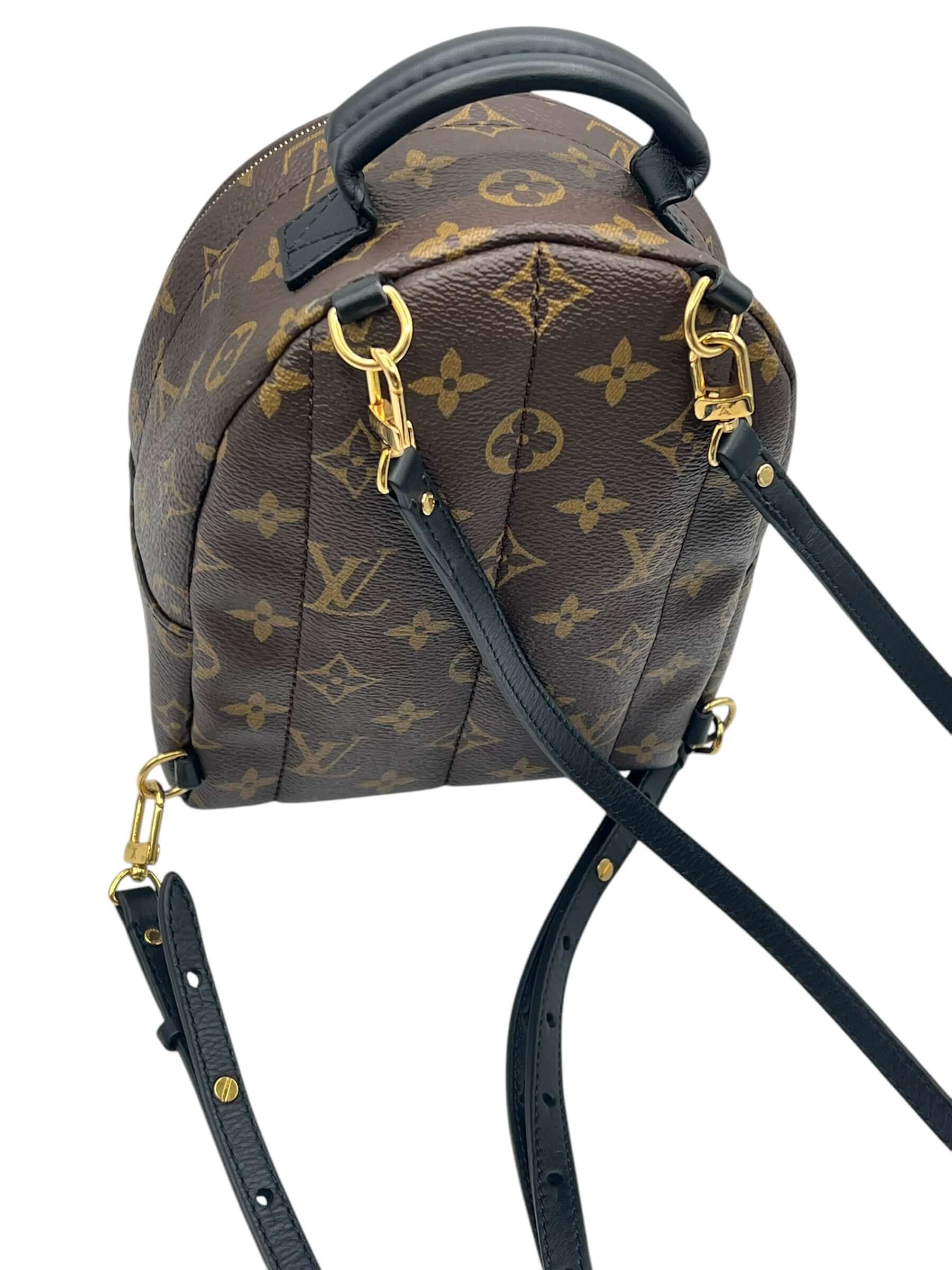 Louis Vuitton - sac Palm spring mini