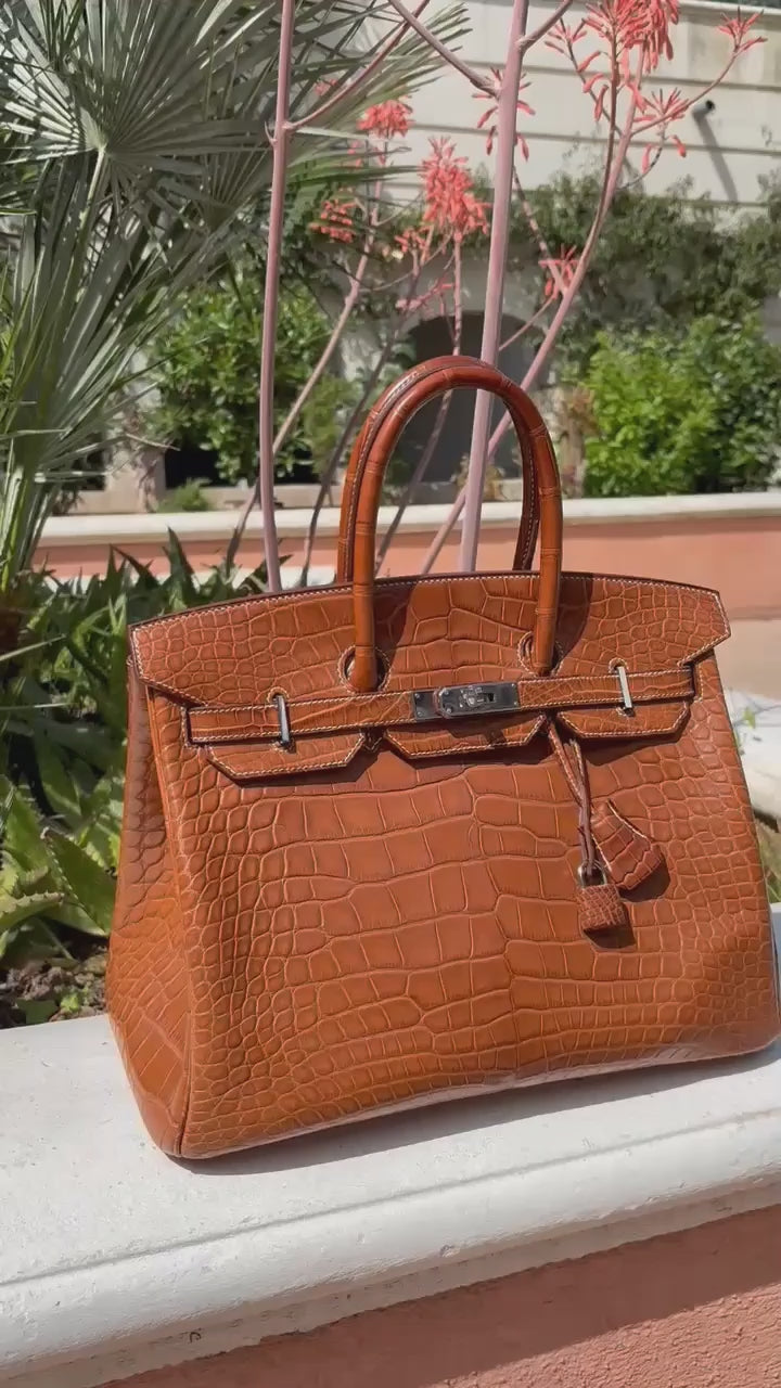 Hermès - Sac Birkin 35 Alligator Mississippiensis Barenia Fauve