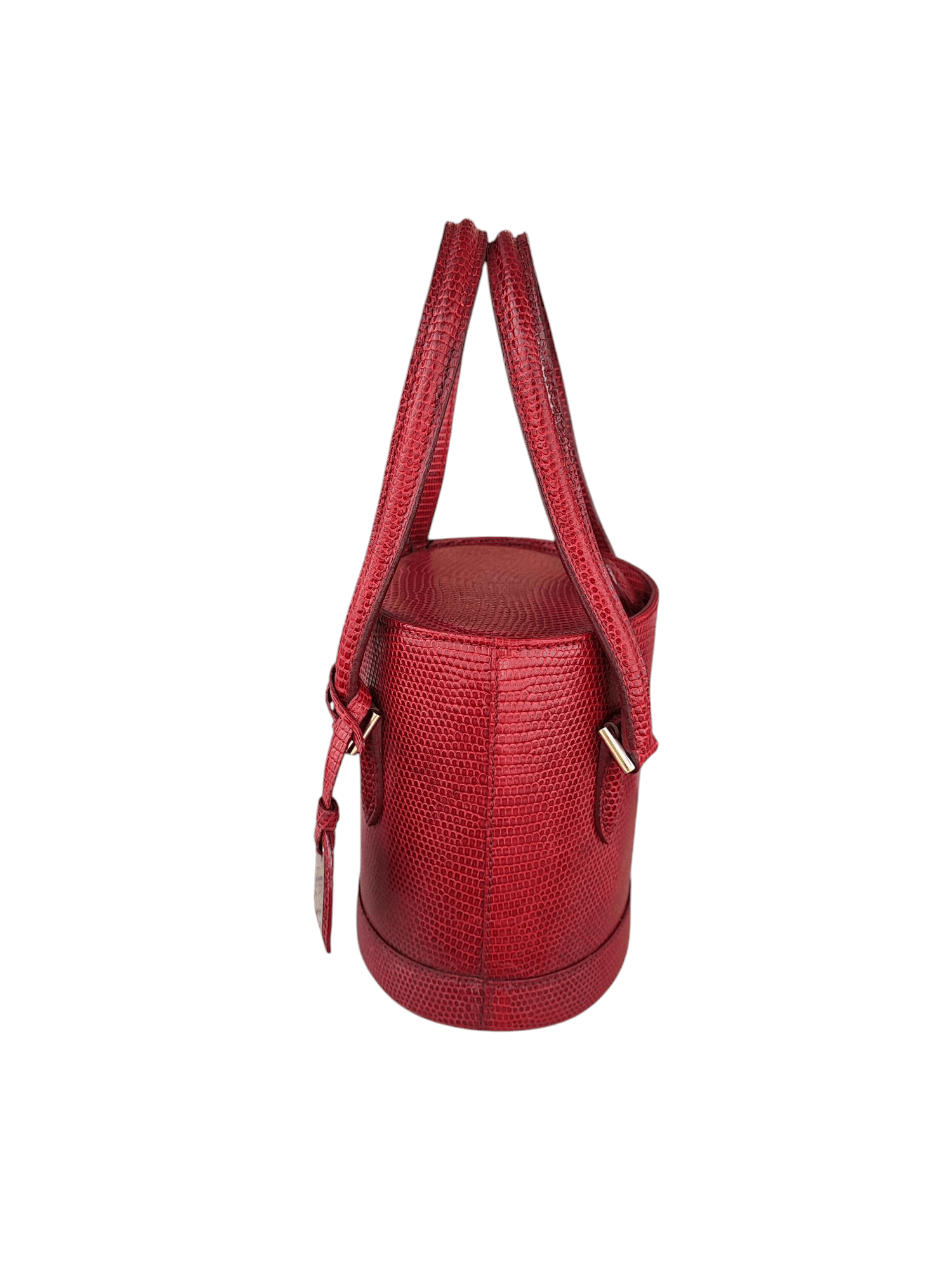 Louis Vuitton - Sac seau en lézard