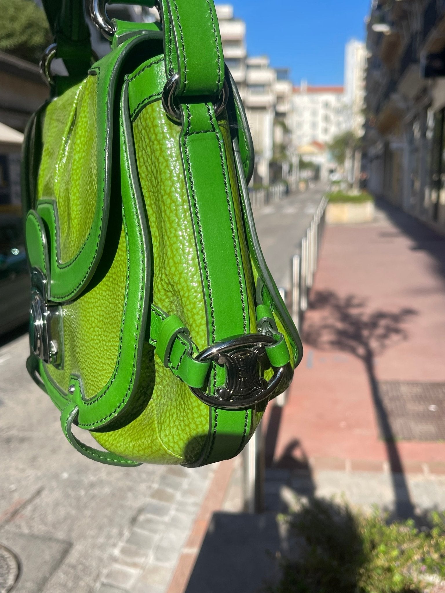 Céline - Sac Triomphe vert - Les Folies d&