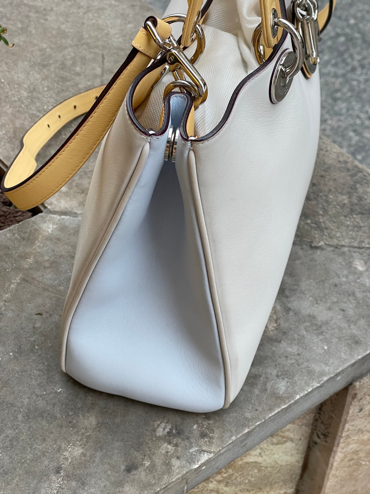Dior - Sac Diorissimo tricolore - Les Folies d&