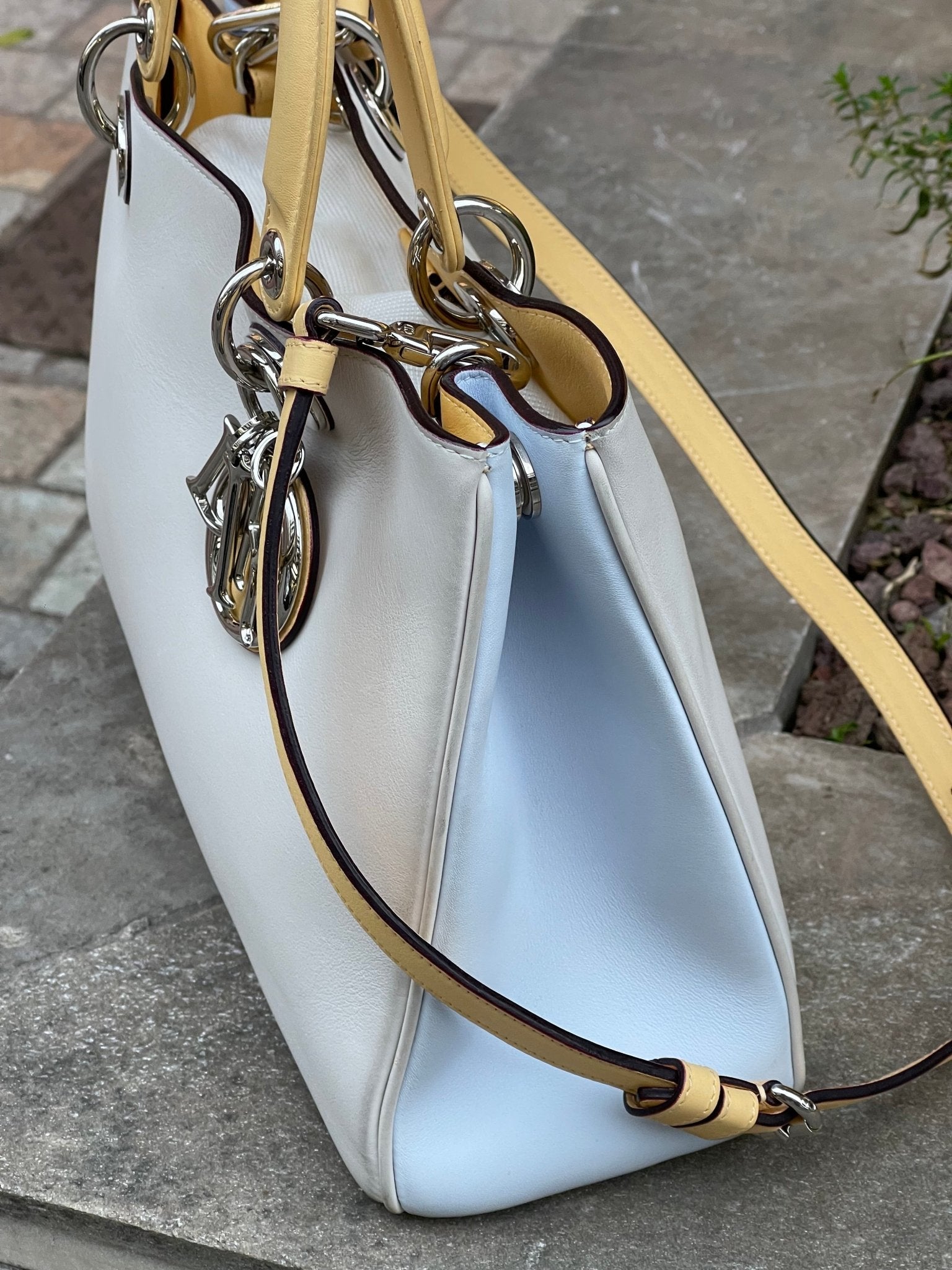 Dior - Sac Diorissimo tricolore - Les Folies d&