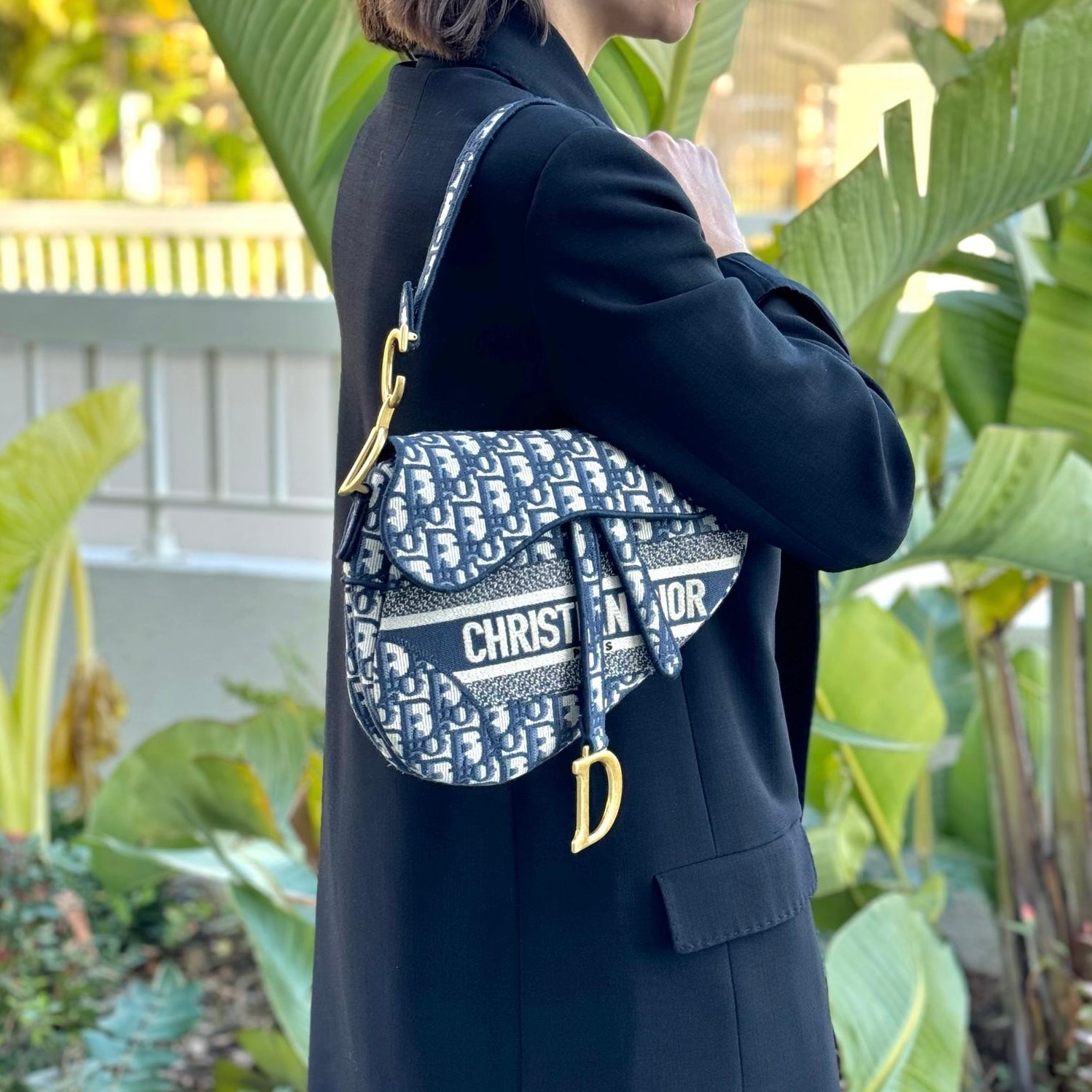 Dior Saddle bag oblique canvas