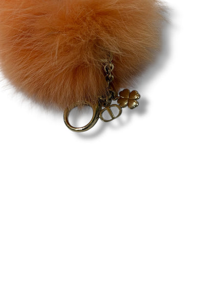 Christian Dior - Bijou de sac Lion