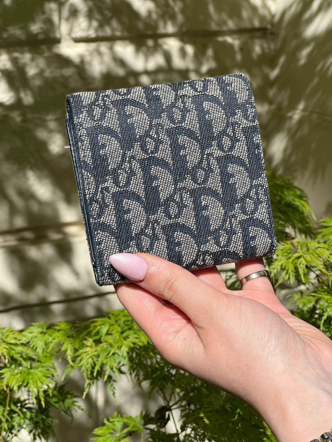 Dior - Portefeuille