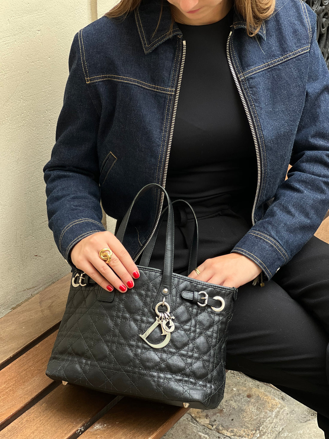 Dior - Tasche aus Segeltuch und Leder Paranea