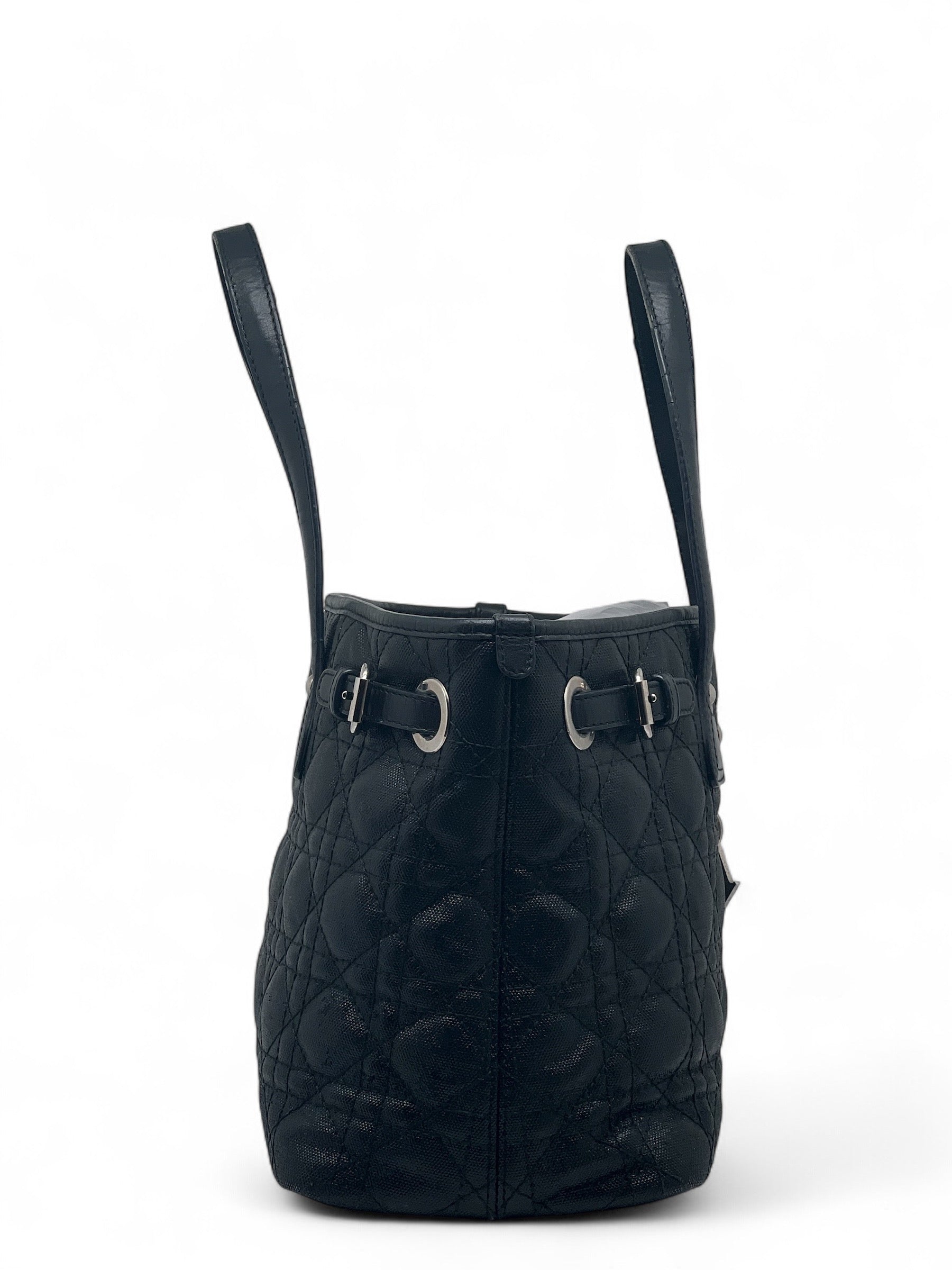Dior - Tasche aus Segeltuch und Leder Paranea