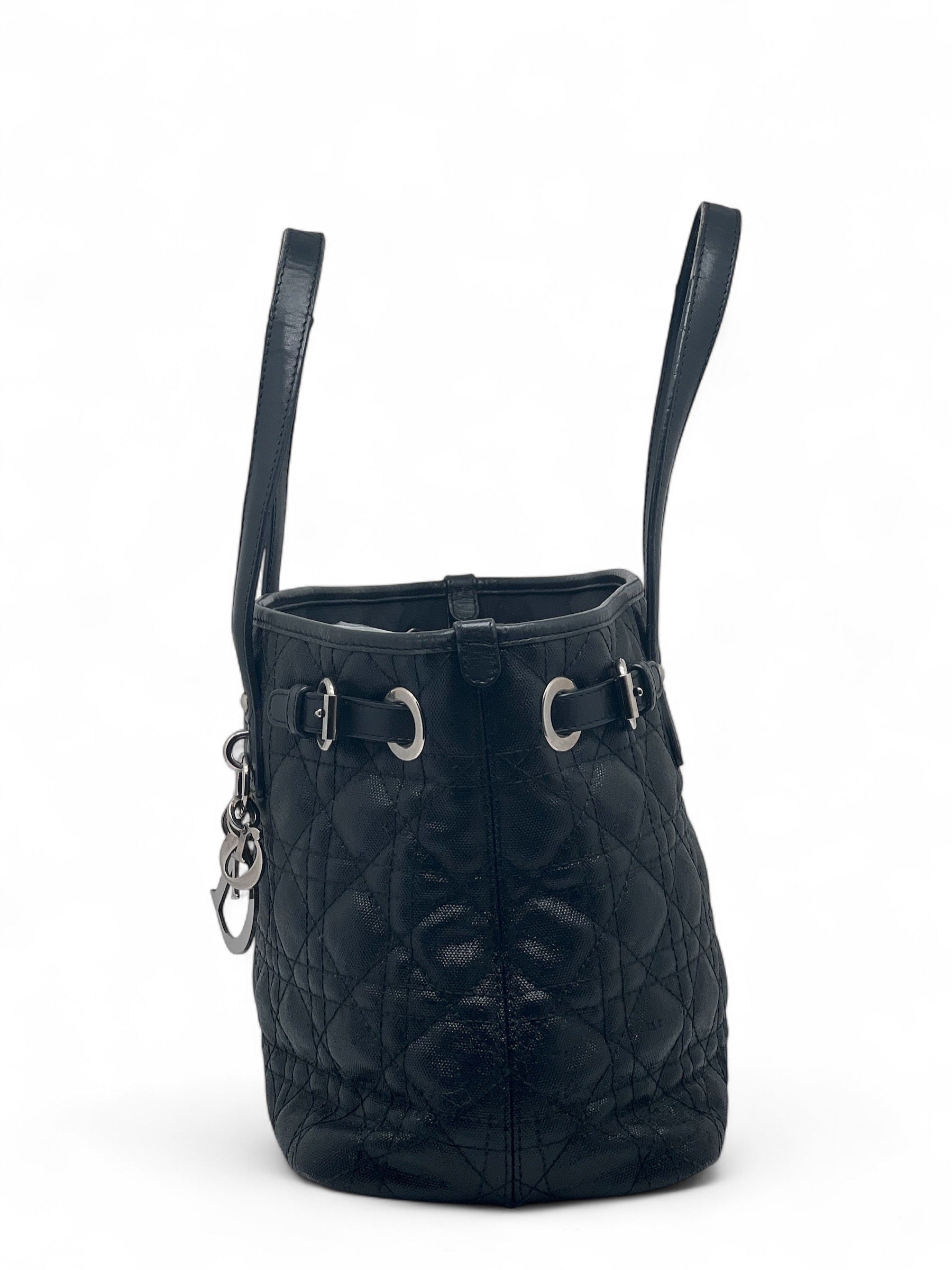 Dior - Tasche aus Segeltuch und Leder Paranea