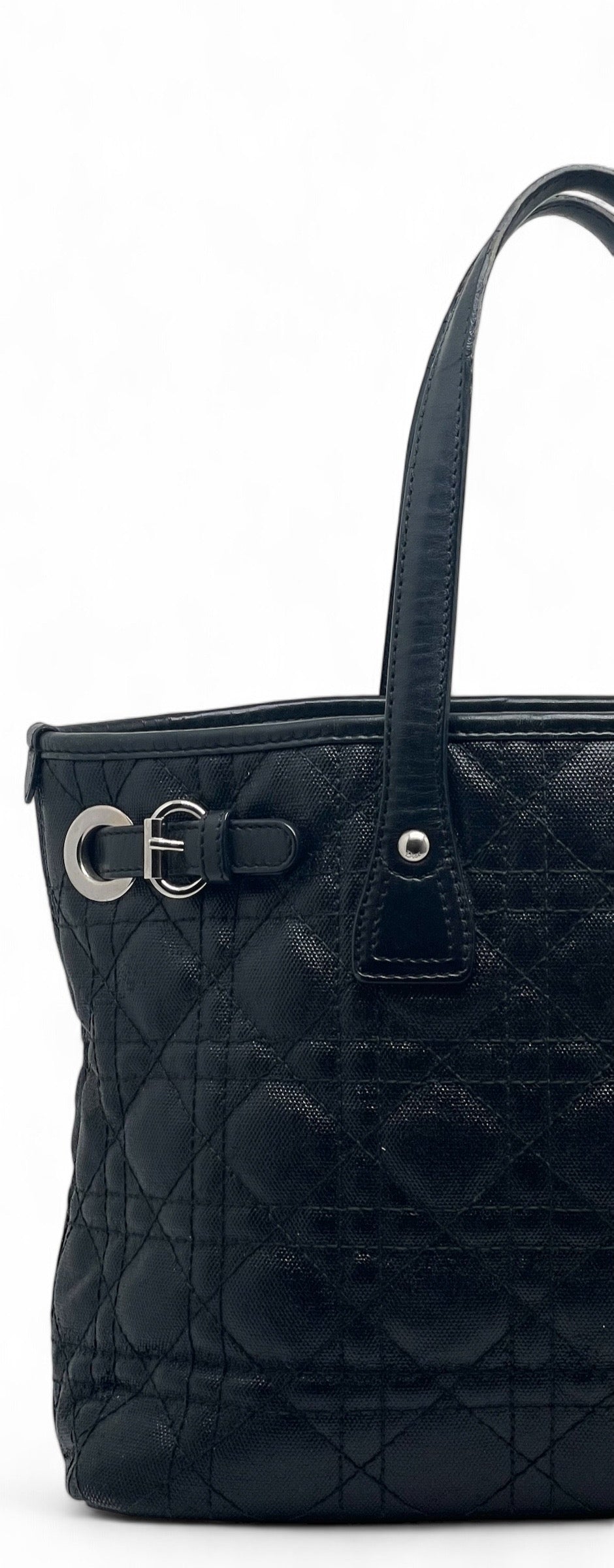 Dior - Tasche aus Segeltuch und Leder Paranea