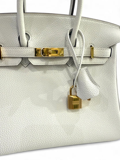 Hermès - Sac Birkin 25 Mushroom