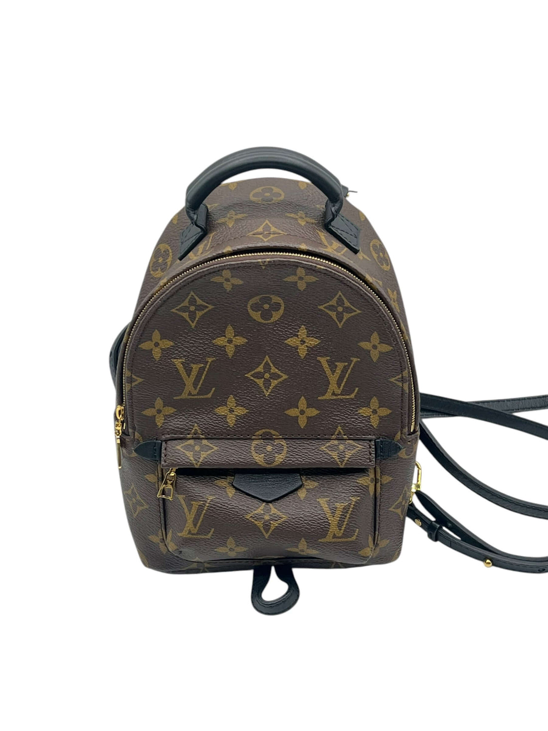 Louis Vuitton - sac Palm spring mini