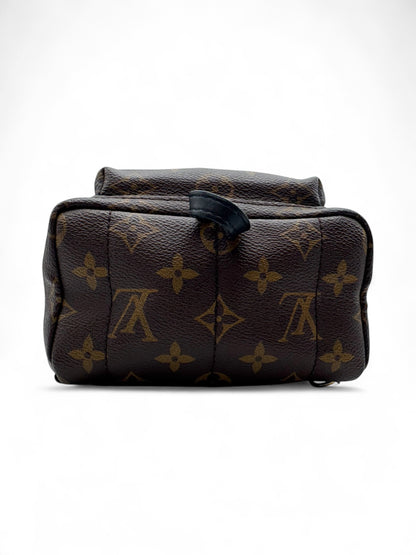 Louis Vuitton - Mini sac à dos Palm Spring