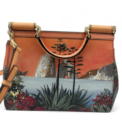 Dolce &amp; Gabbana - Sac Capri