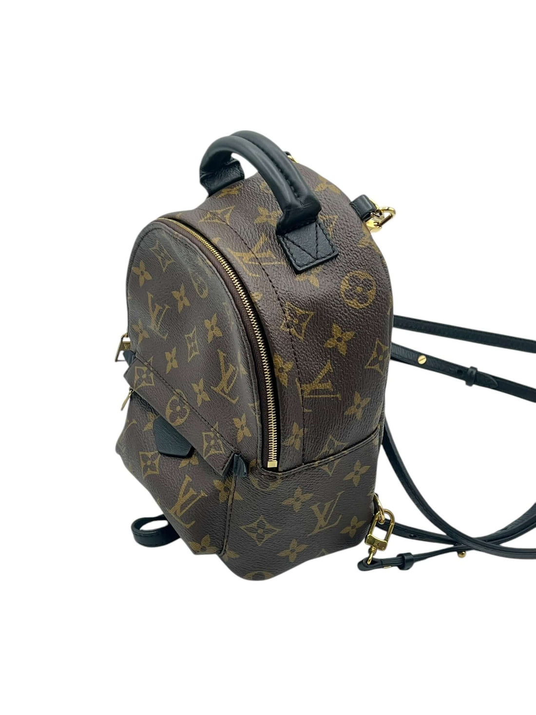Louis Vuitton - sac Palm spring mini