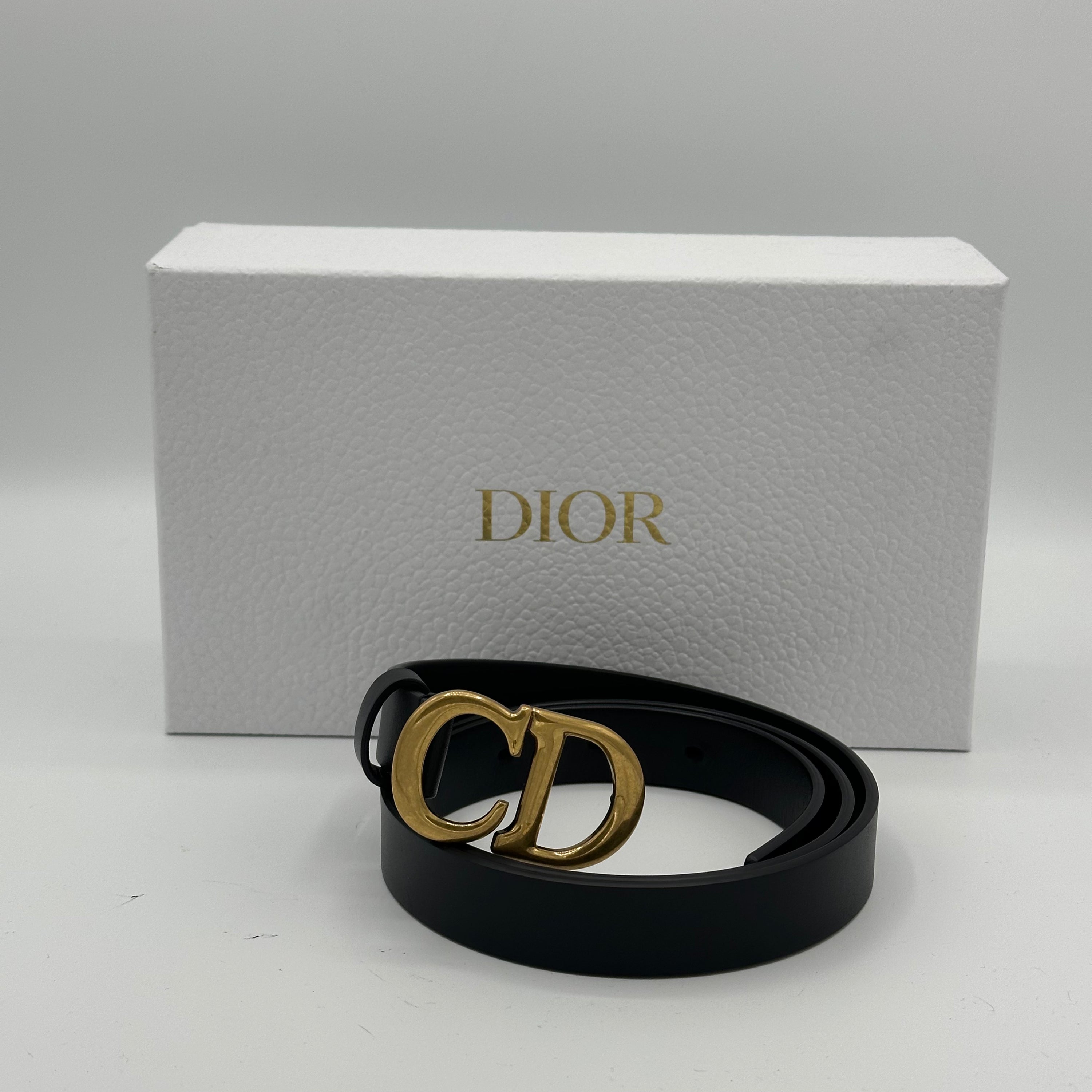 Dior - Cintura Saddle