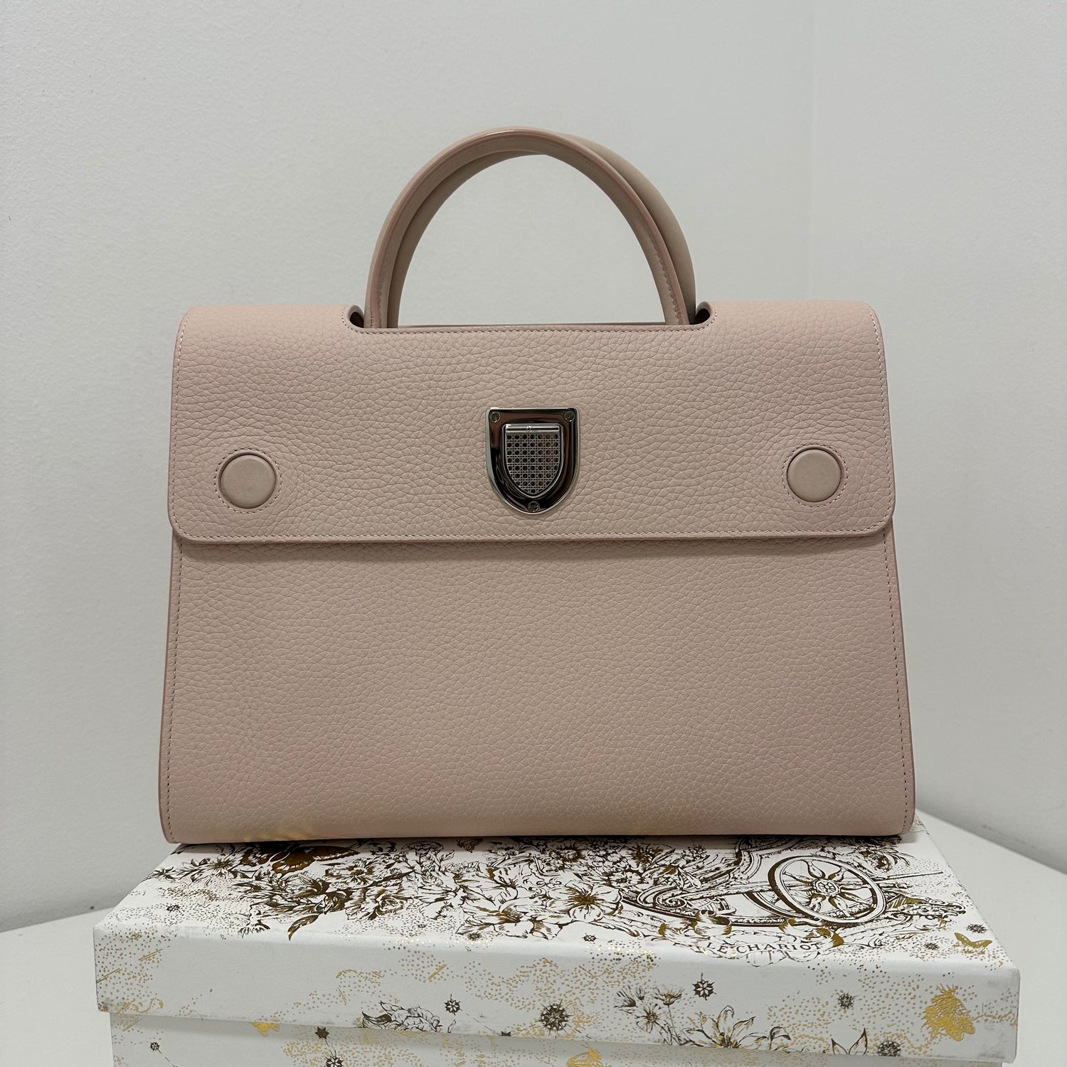 Dior bag nude hotsell