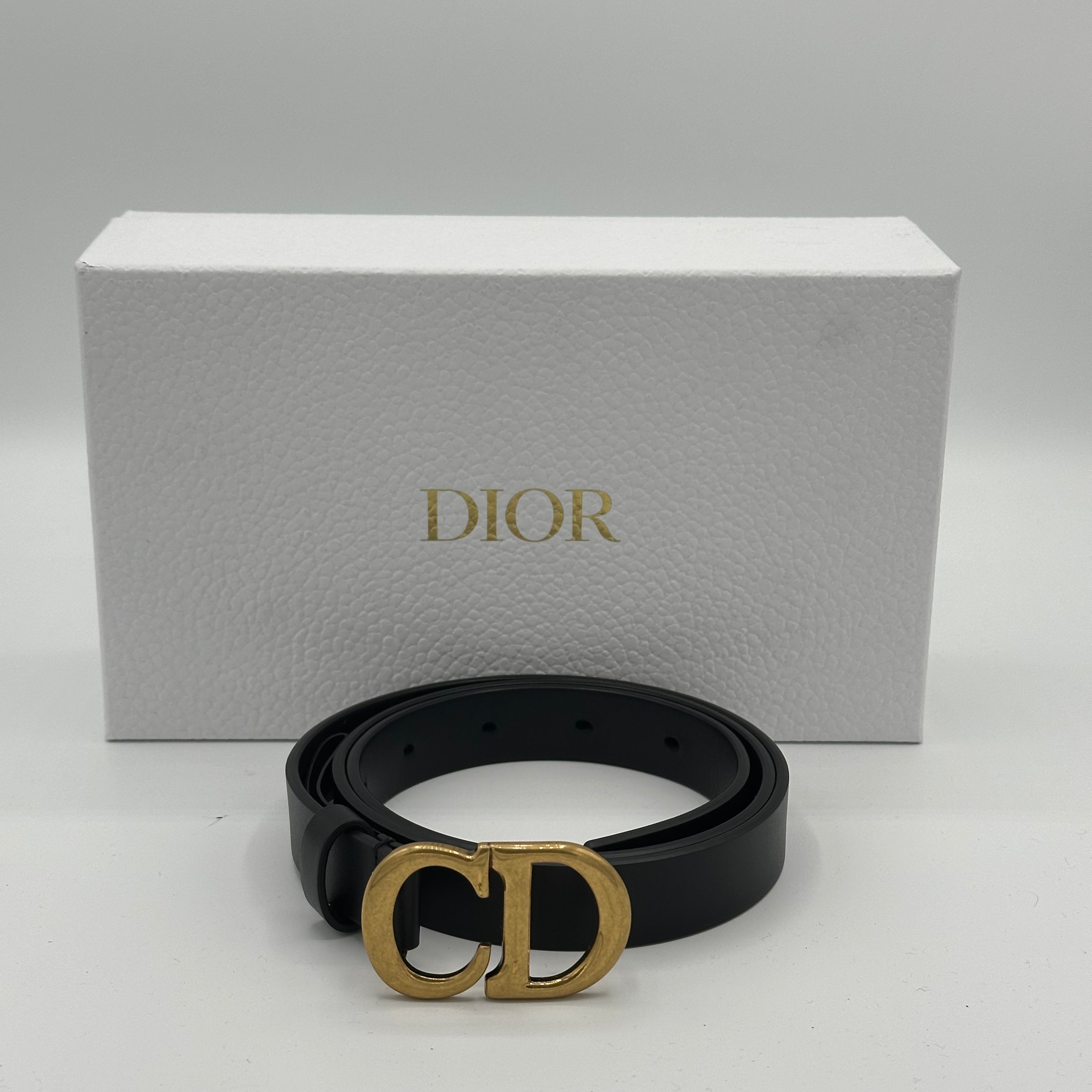 Dior - Cintura Saddle