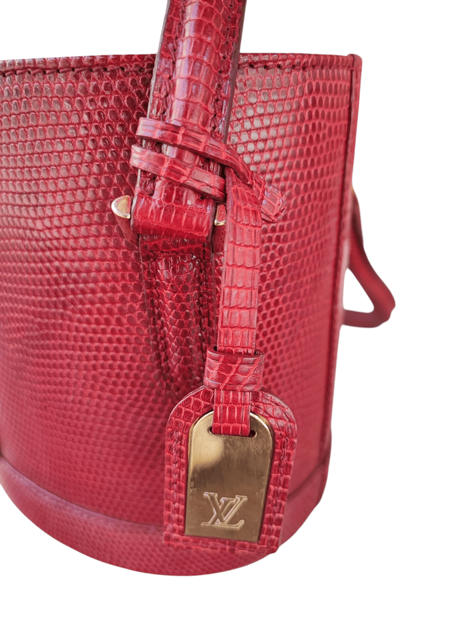 Louis Vuitton - Sac seau en lézard