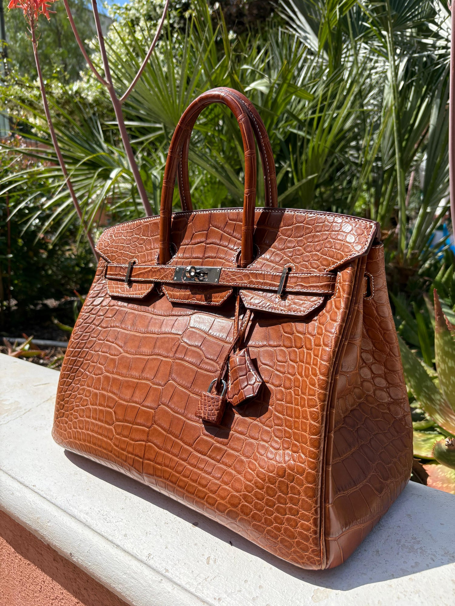 Hermès - Sac Birkin 35 Alligator Mississippiensis Barenia Fauve