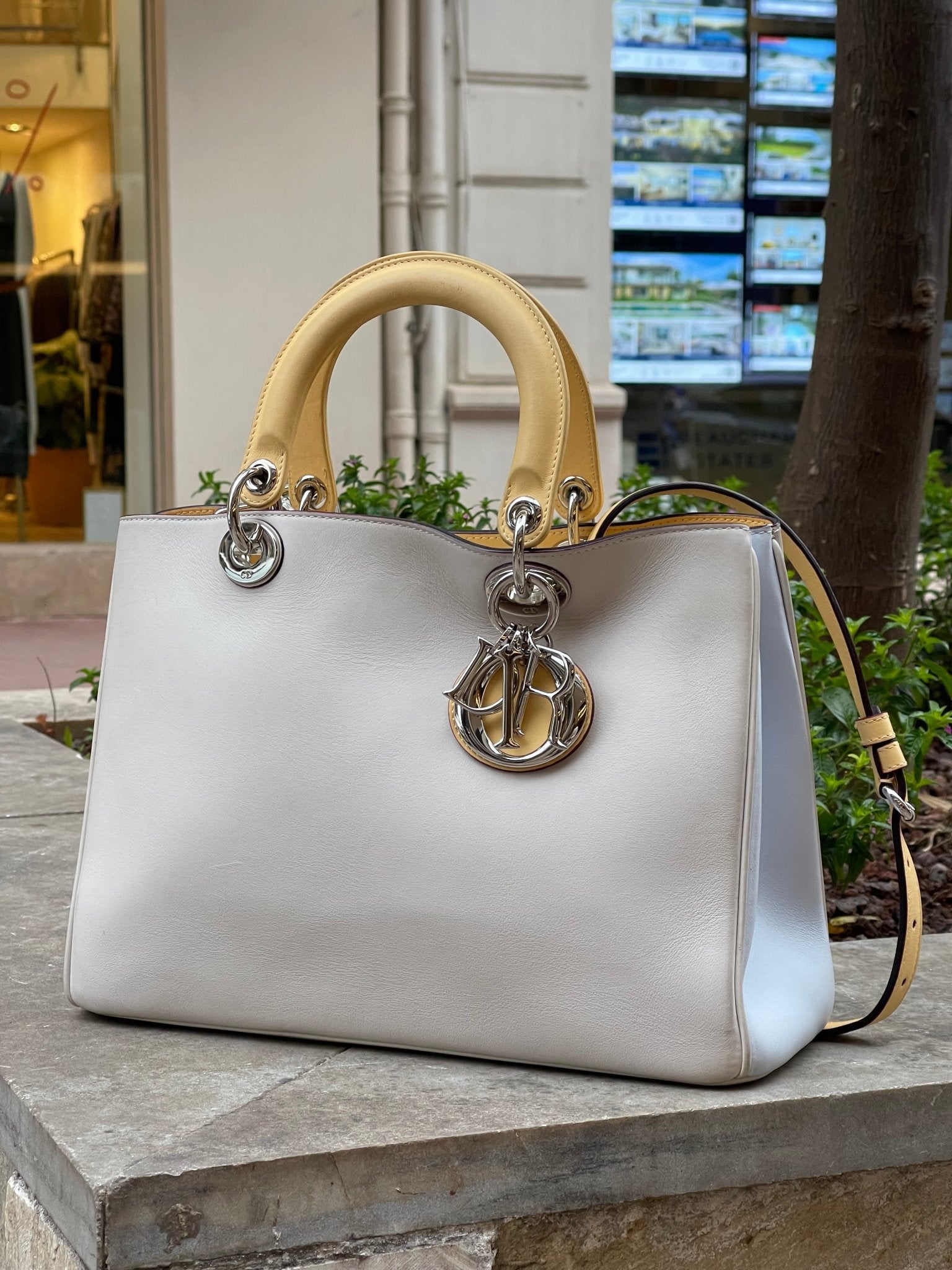 Dior Sac Diorissimo tricolore