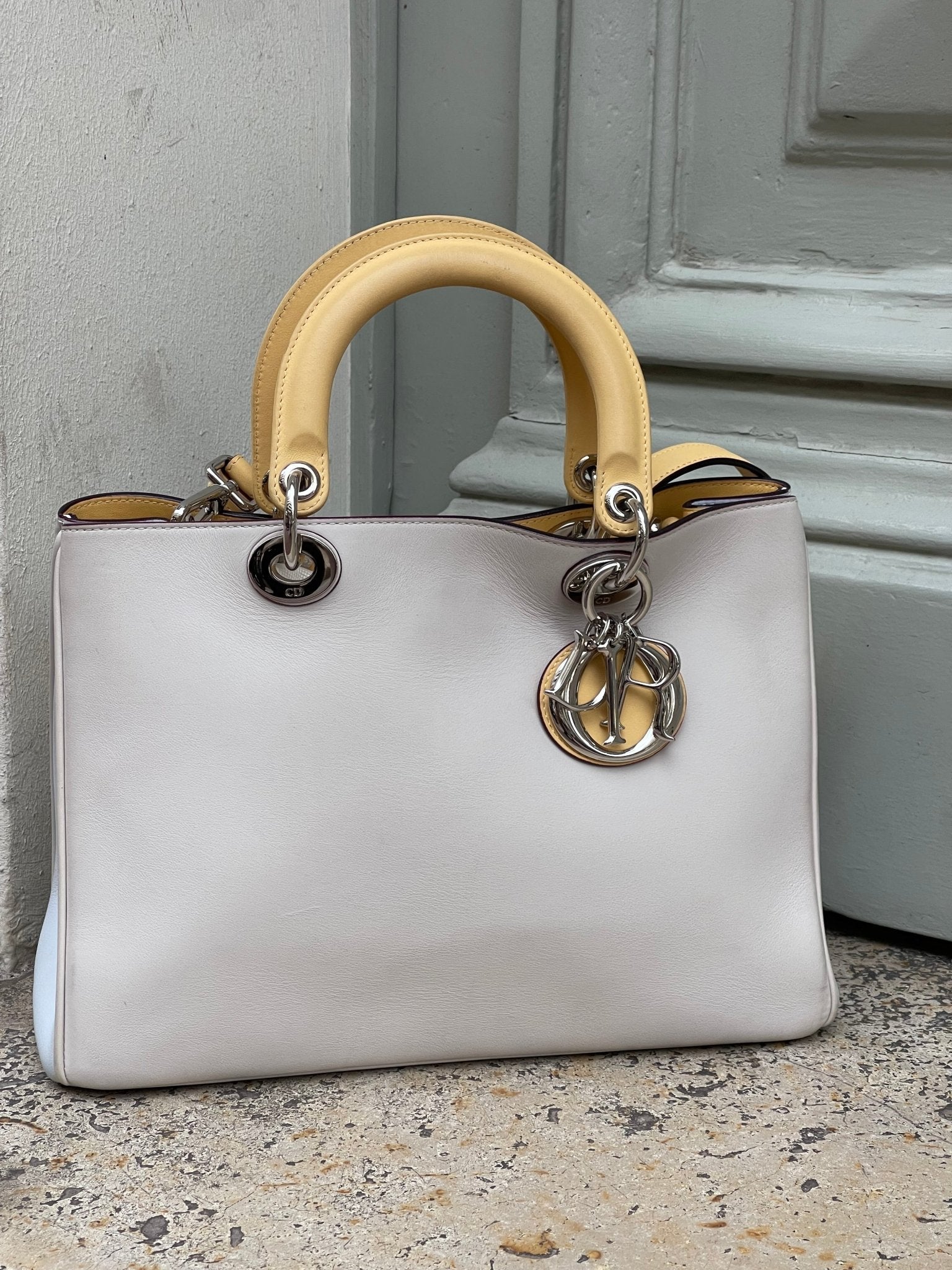 Sac dior diorissimo top