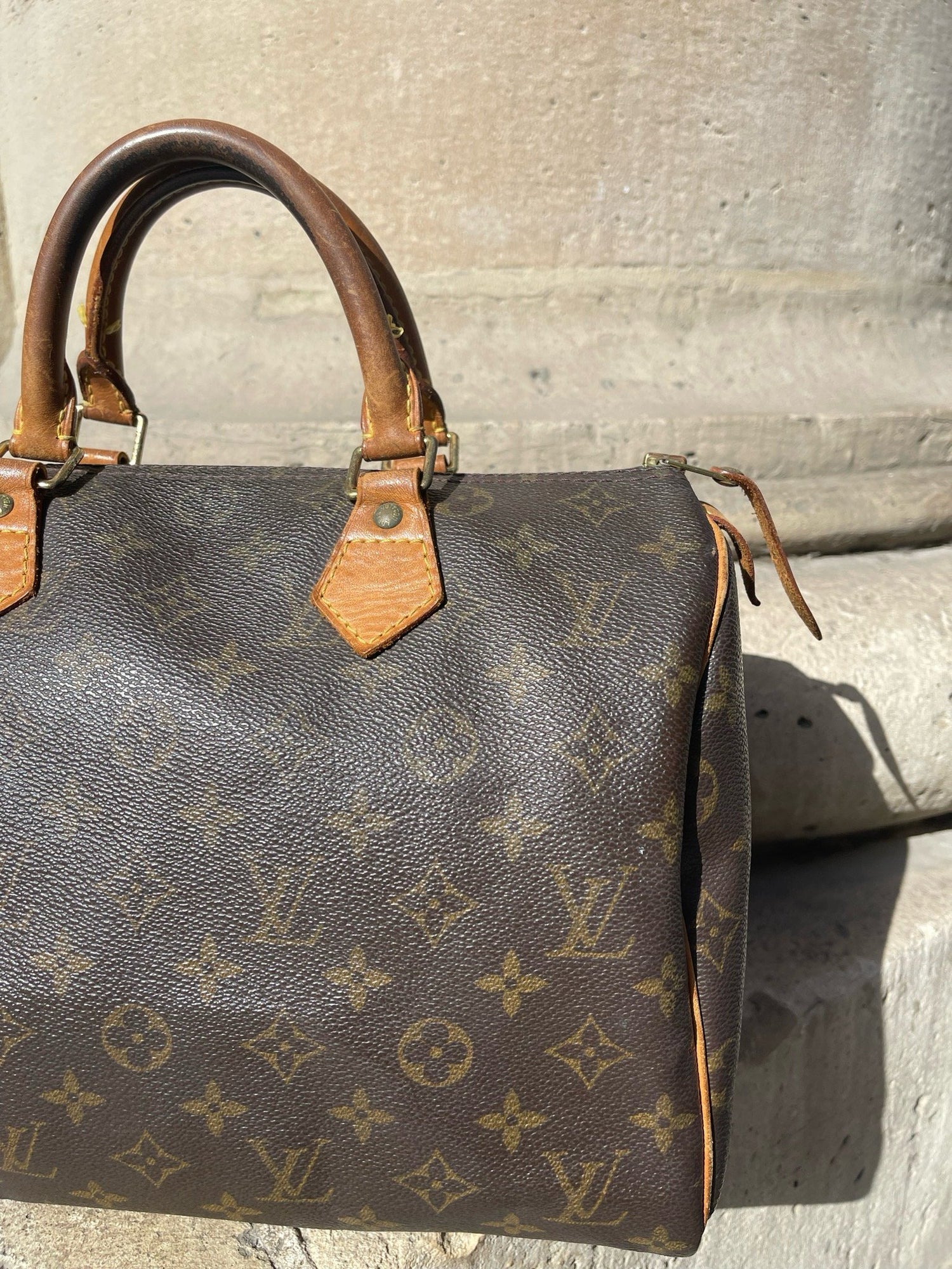 Louis Vuitton - Speedy 30 - Les Folies d&